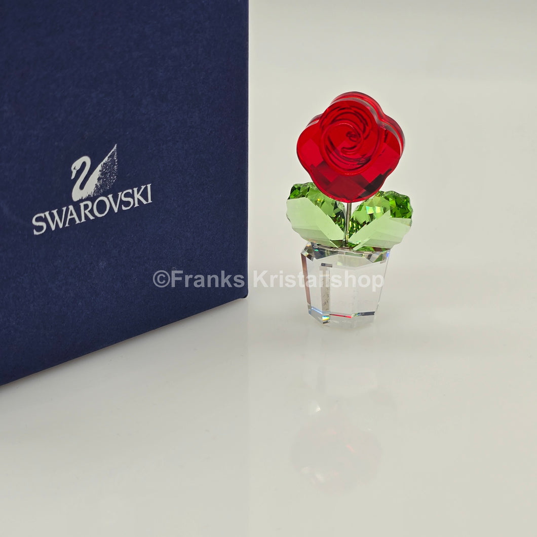 SWAROVSKI Blumenträume Rose Rot im Blumentopf 855896 oU