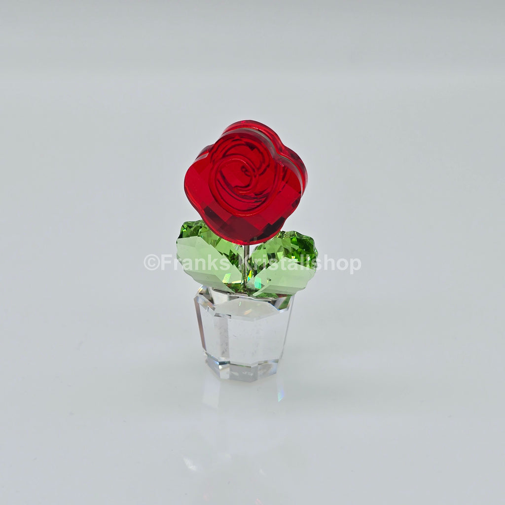 SWAROVSKI Blumenträume Rose Rot im Blumentopf 855896 AV