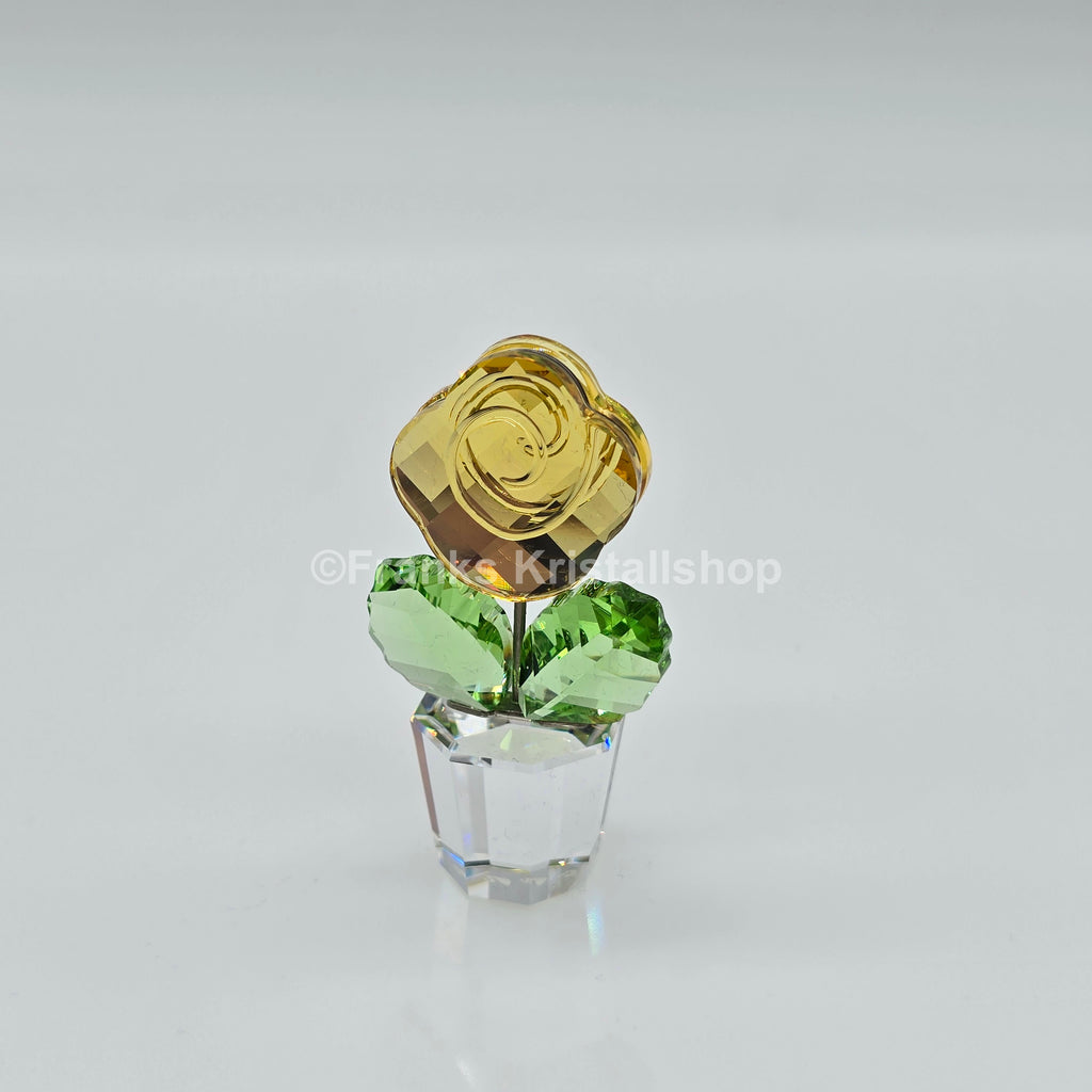 SWAROVSKI Blumenträume Rose Gelb im Blumentopf 855895 oU