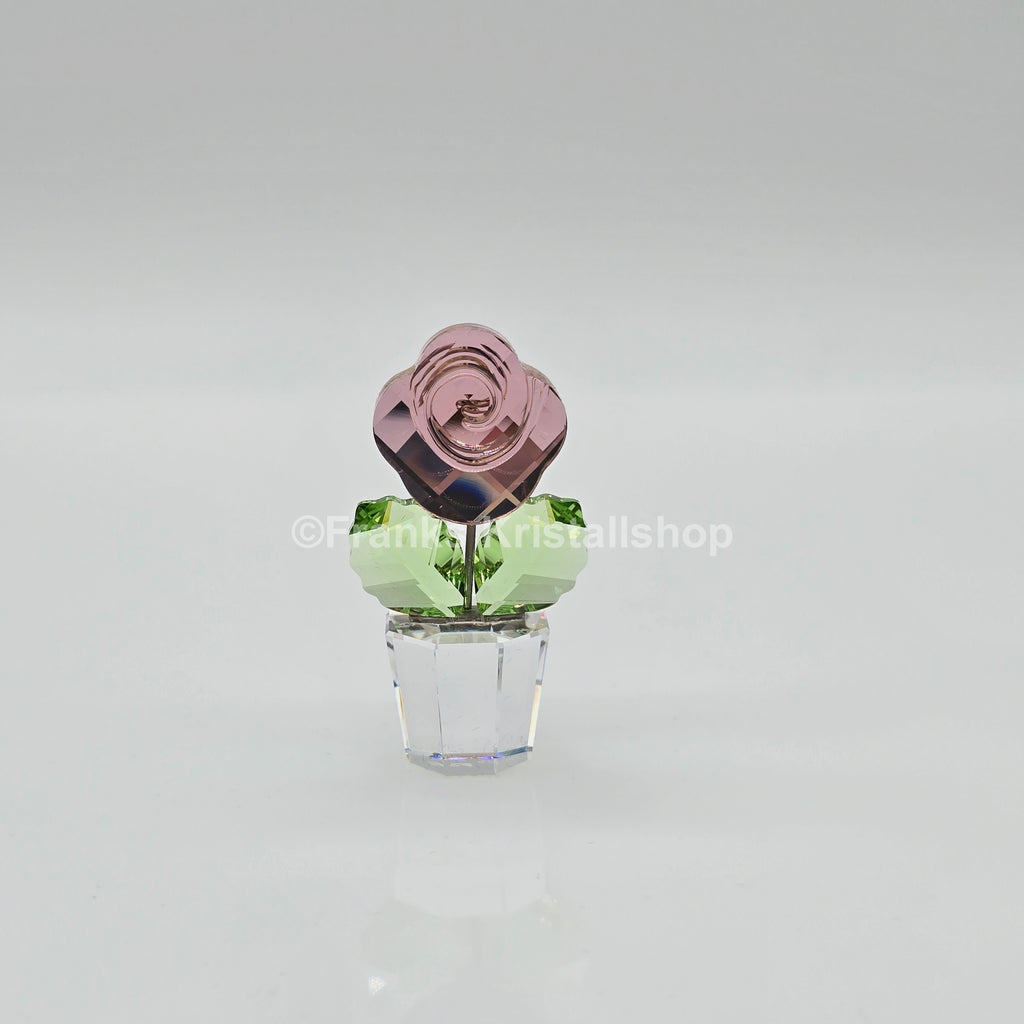 SWAROVSKI Blumenträume Rose Pink Rosa im Blumentopf 855894 oU