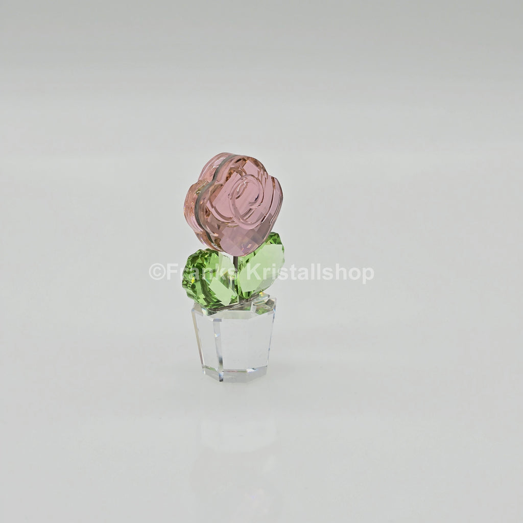 SWAROVSKI Blumenträume Rose Pink Rosa im Blumentopf 855894 oU