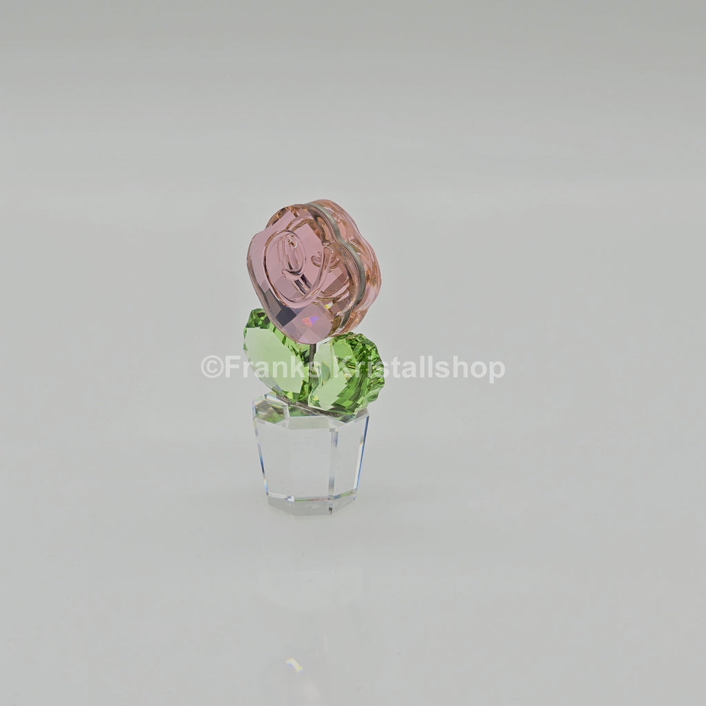 SWAROVSKI Blumenträume Rose Pink Rosa im Blumentopf 855894 oU