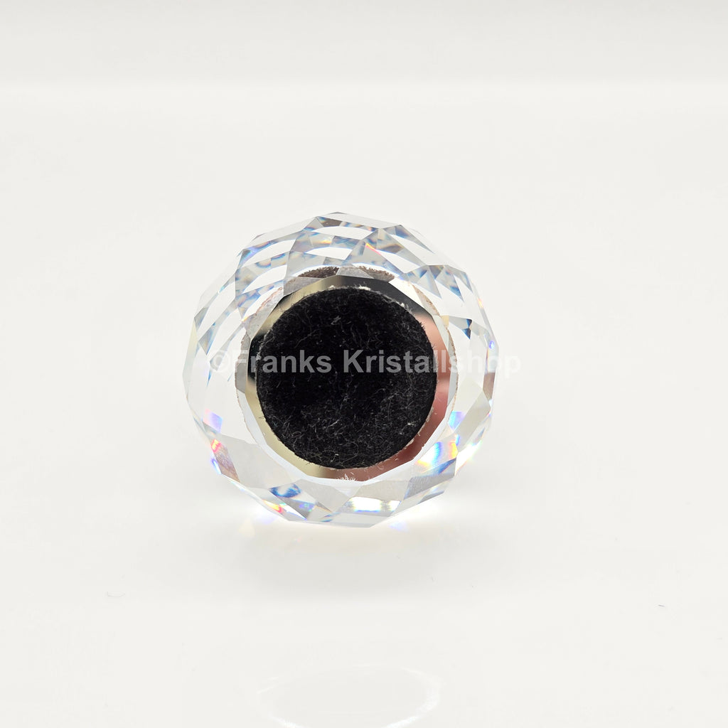 SWAROVSKI SCS Briefbeschwerer Schwan Blau SCMPWNR2