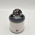 SWAROVSKI SCS Briefbeschwerer Schwan Schwarz SCMPWNR3
