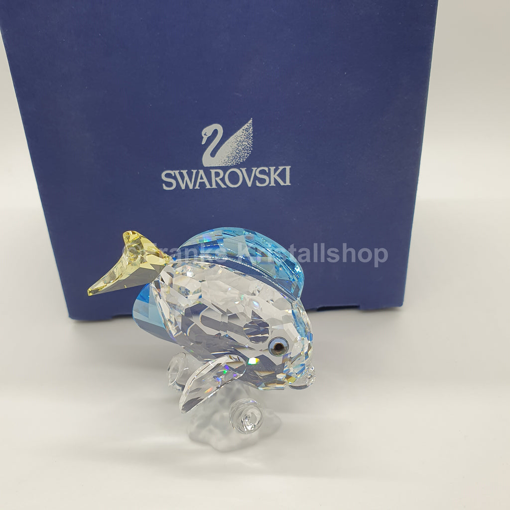 SWAROVSKI SCS Jahresfigur Doktorfisch Color 886180 oU