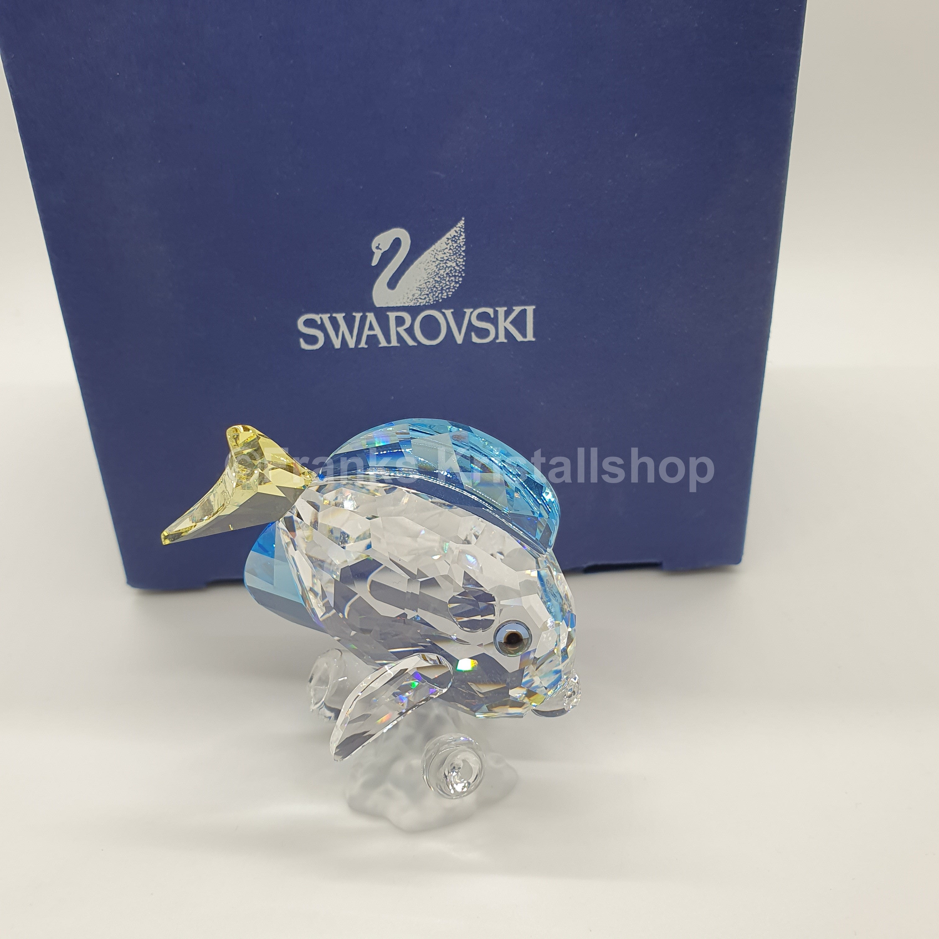 SWAROVSKI SCS Jahresfigur Doktorfisch Color 886180 oU
