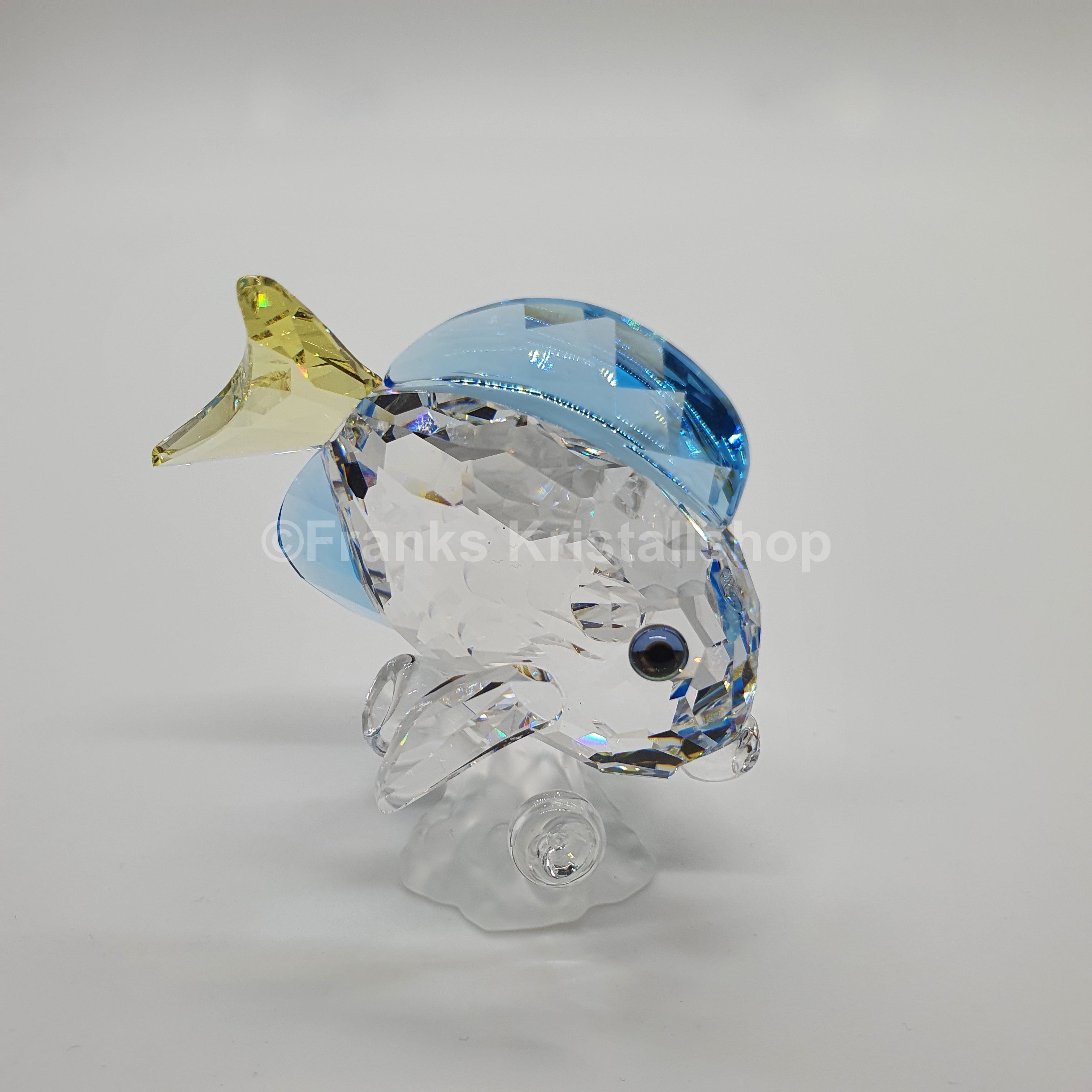 SWAROVSKI SCS Jahresfigur Doktorfisch Color 886180 oU