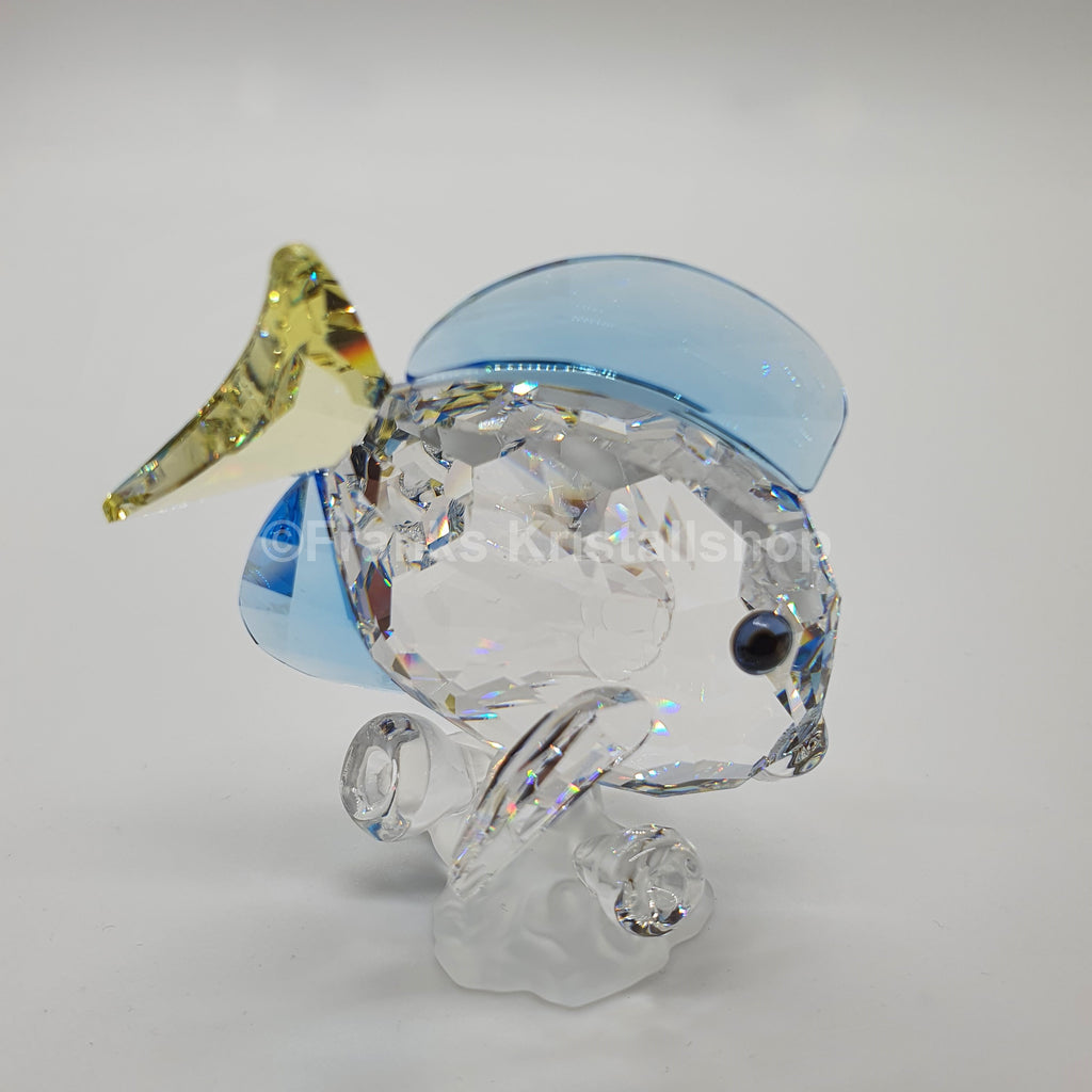 SWAROVSKI SCS Jahresfigur Doktorfisch Color 886180 oU