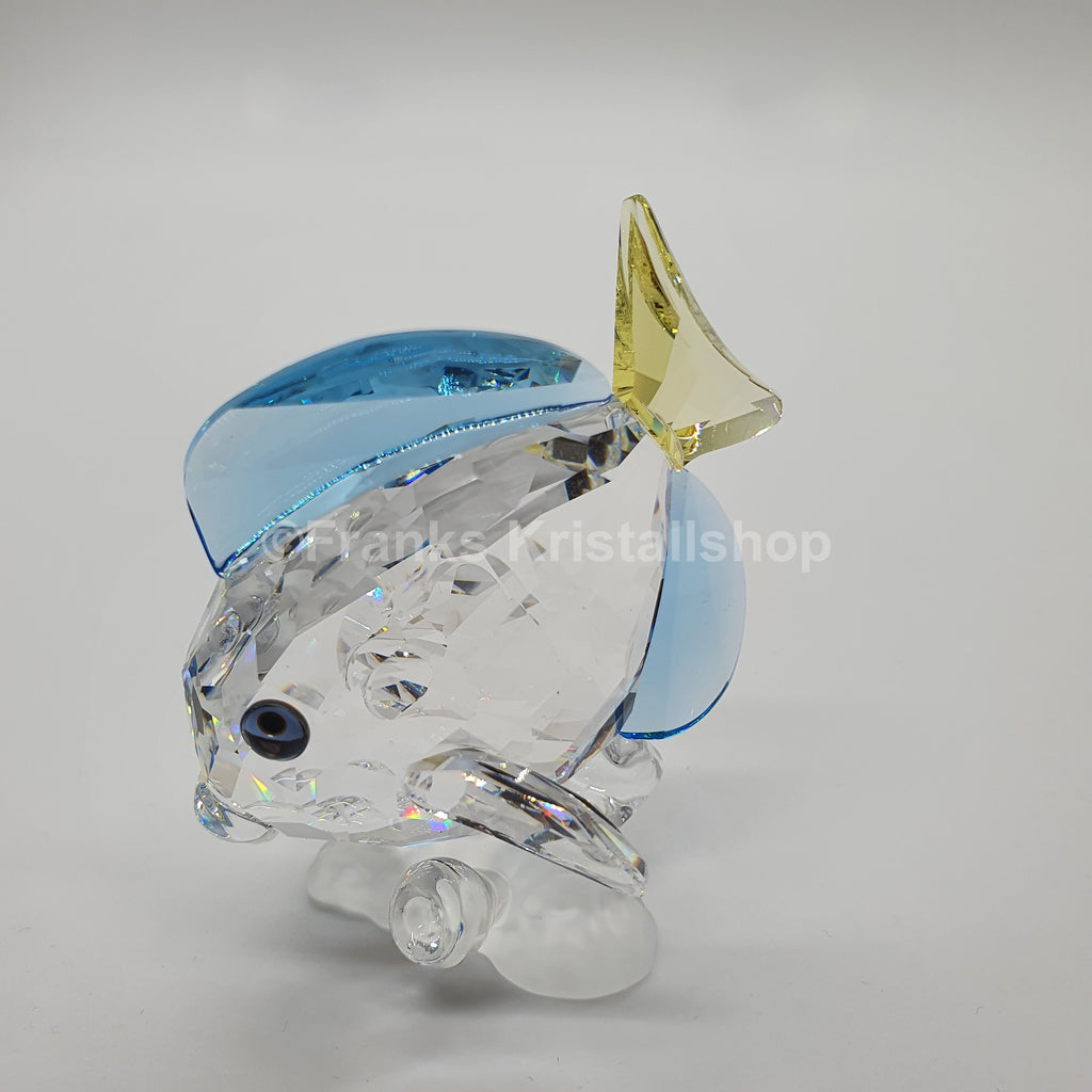 SWAROVSKI SCS Jahresfigur Doktorfisch Color 886180 oU