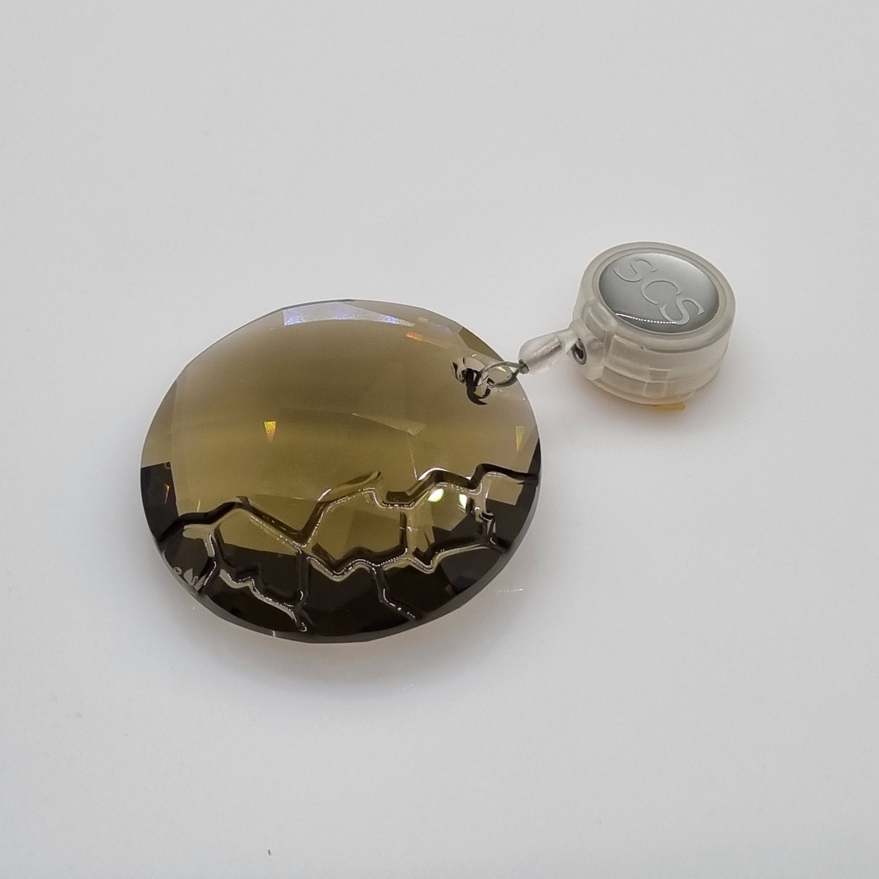 SWAROVSKI SCS Ornament Erde 2010 in OVP 1003284