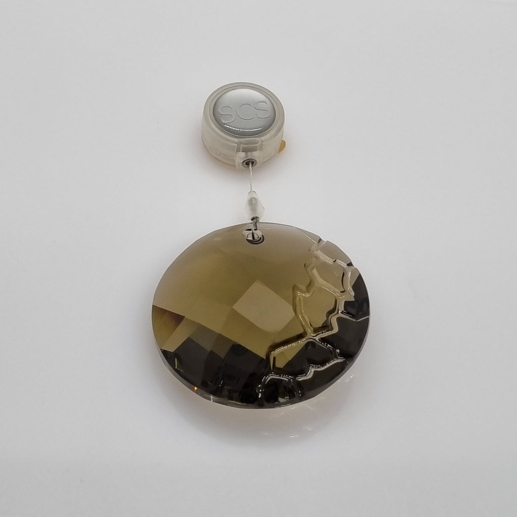SWAROVSKI SCS Ornament Erde 2010 in OVP 1003284