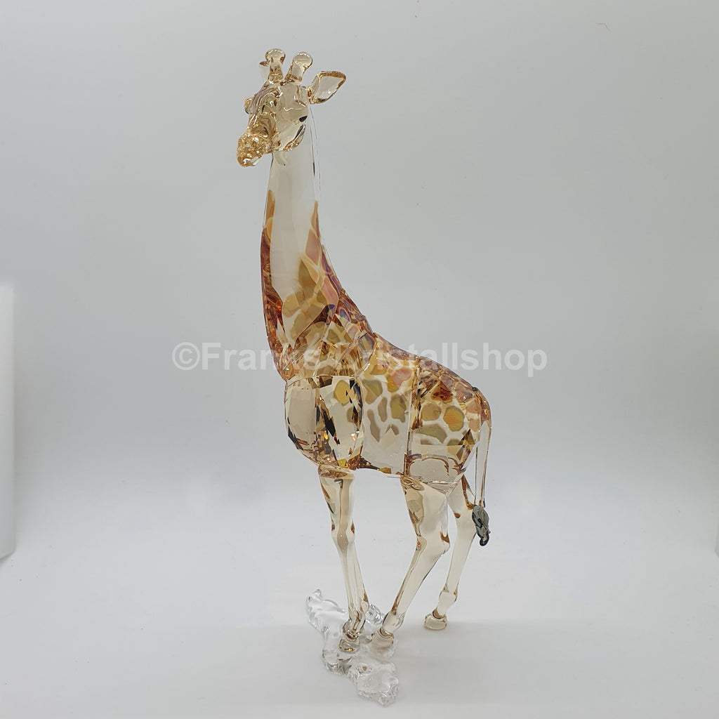 SWAROVSKI SCS Jahresfigur 2018 Giraffe Mudiwa 5301550