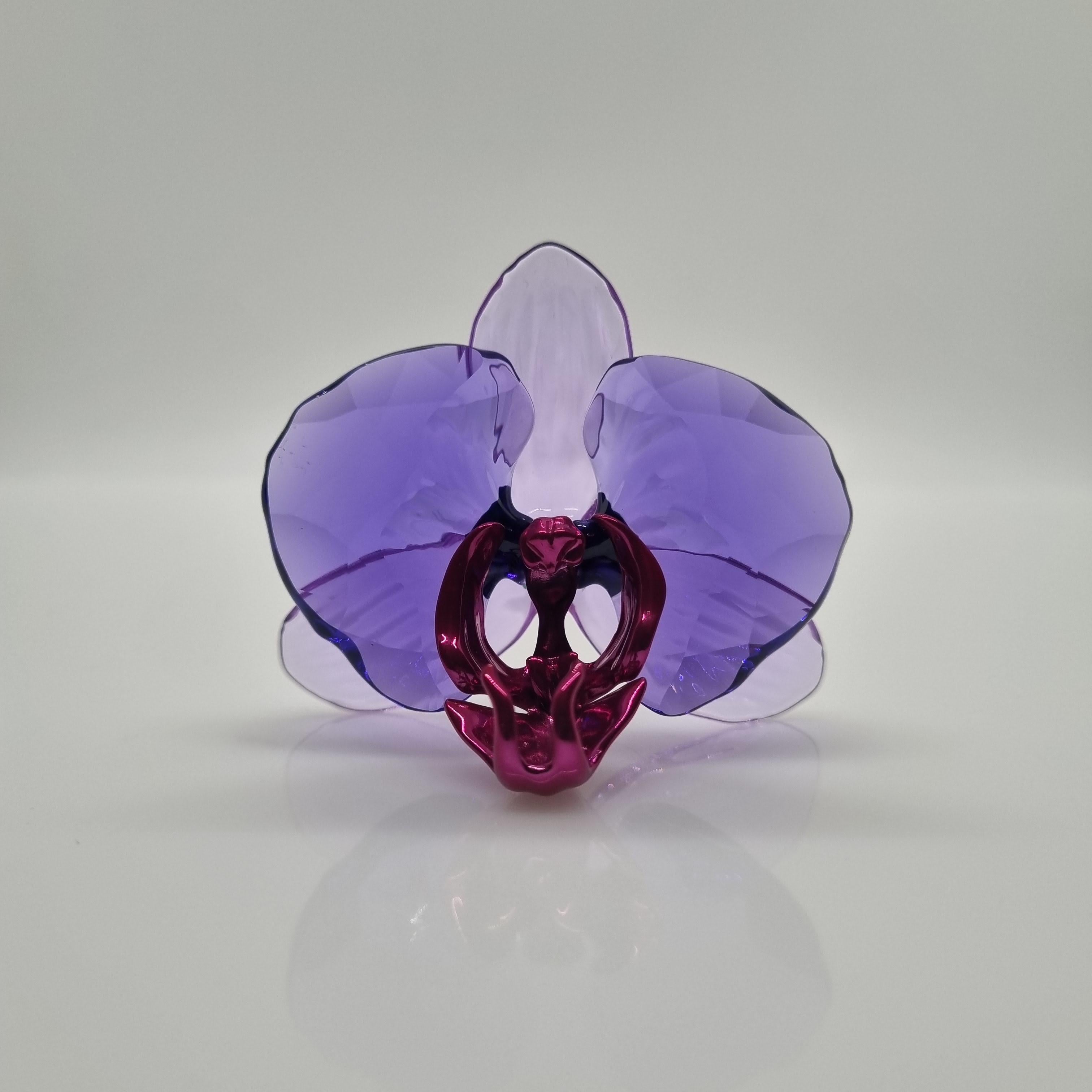 SWAROVSKI SCS Idyllia 2024 Orchidee Blütenblatt 5669354