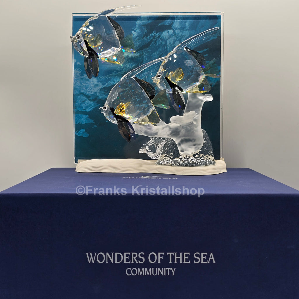 SWAROVSKI SCS Jahresfigur 2007 Wonders Of The Sea Community Color 854650