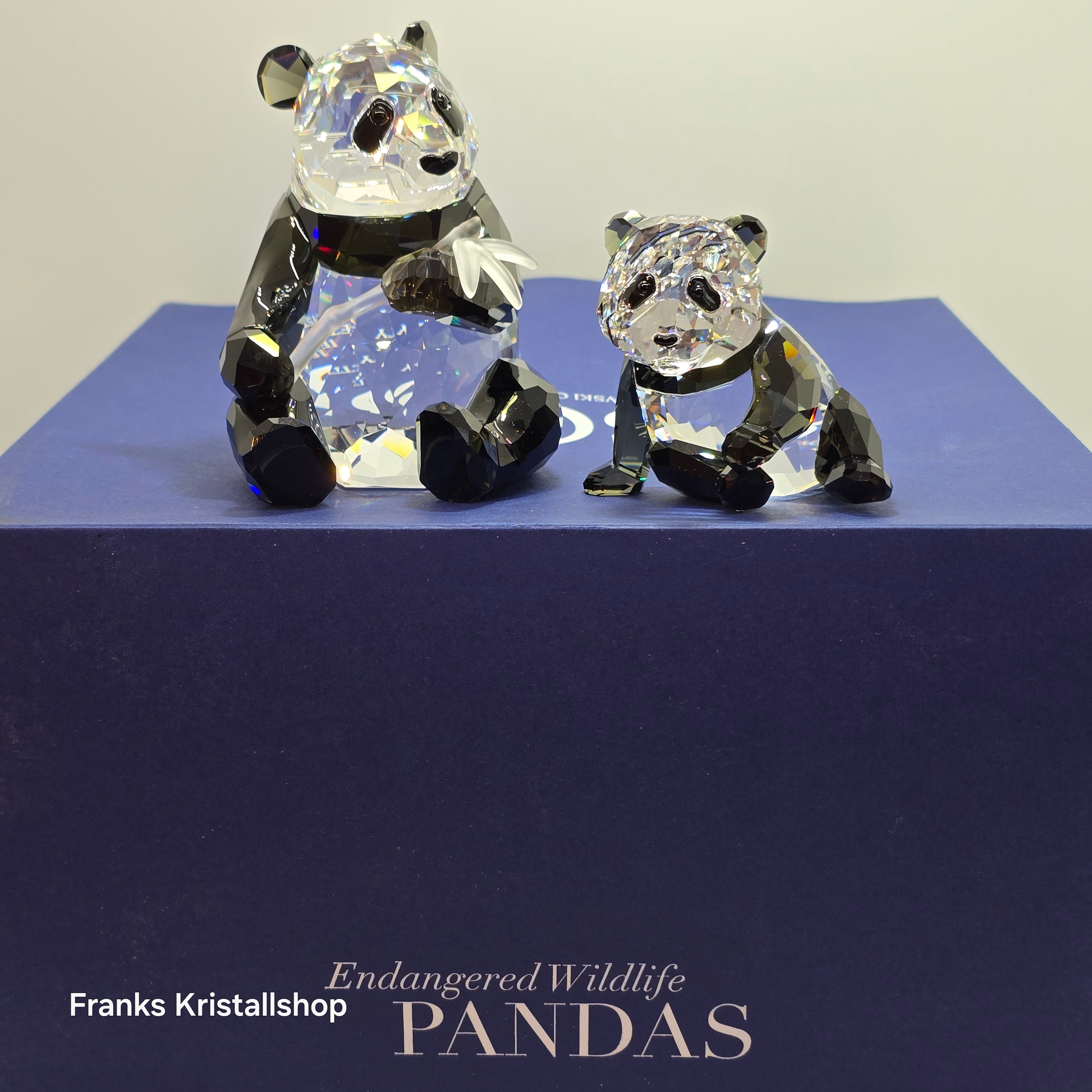 SWAROVSKI SCS Jahresfigur 2008 Pandas 900918