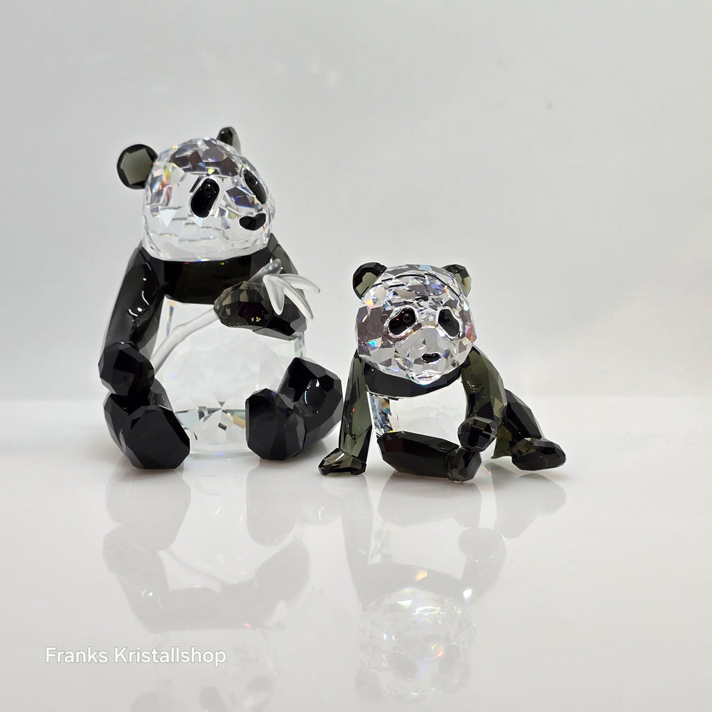 SWAROVSKI SCS Jahresfigur 2008 Pandas 900918