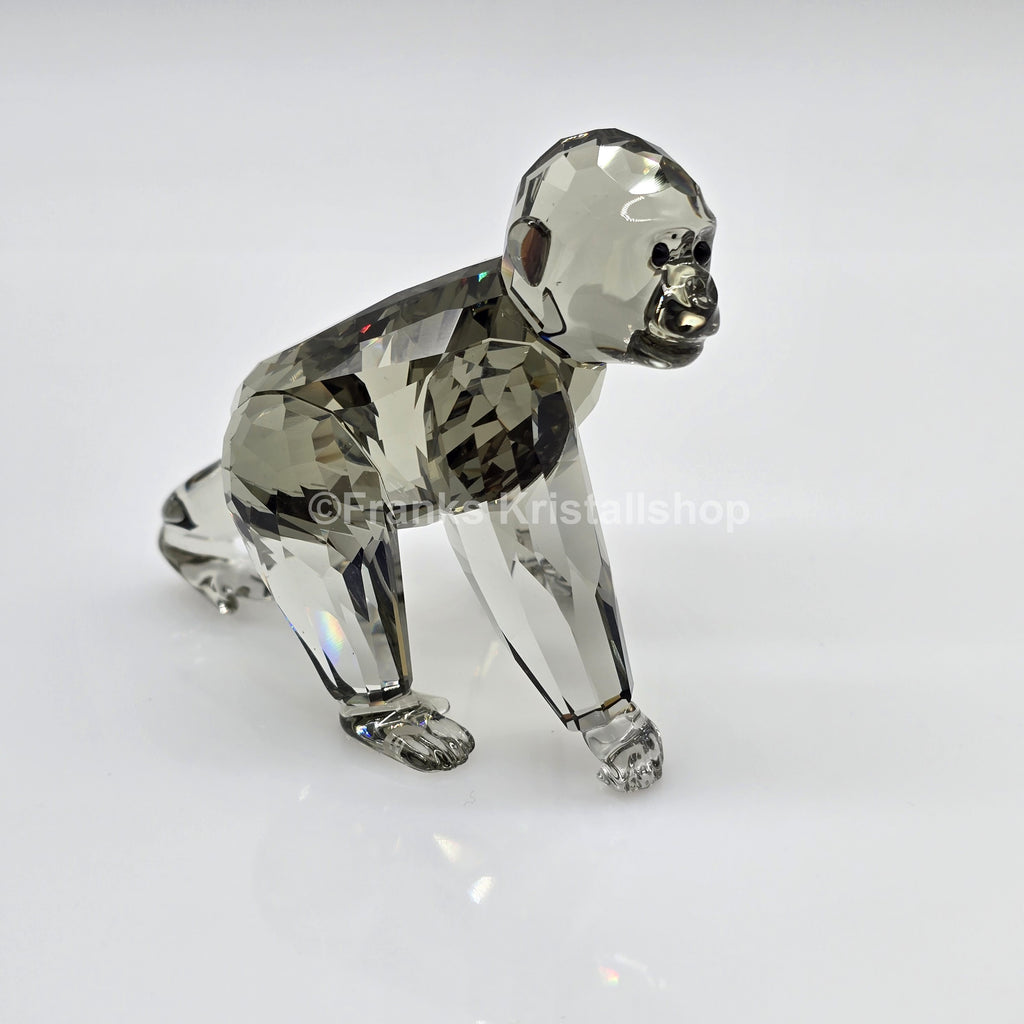 SWAROVSKI SCS Jahresfigur 2009 Junger Gorilla 955440