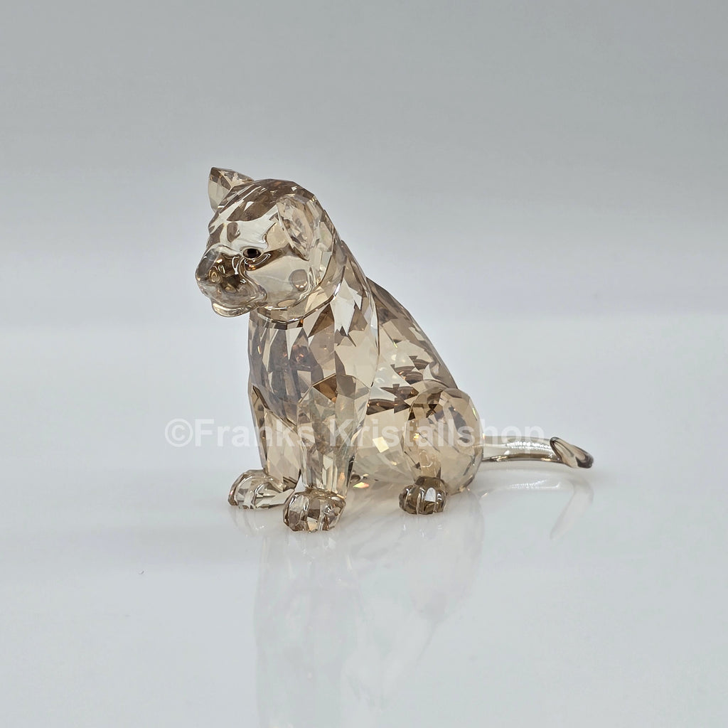 SWAROVSKI SCS Löwenbaby Akili 5135896 oU