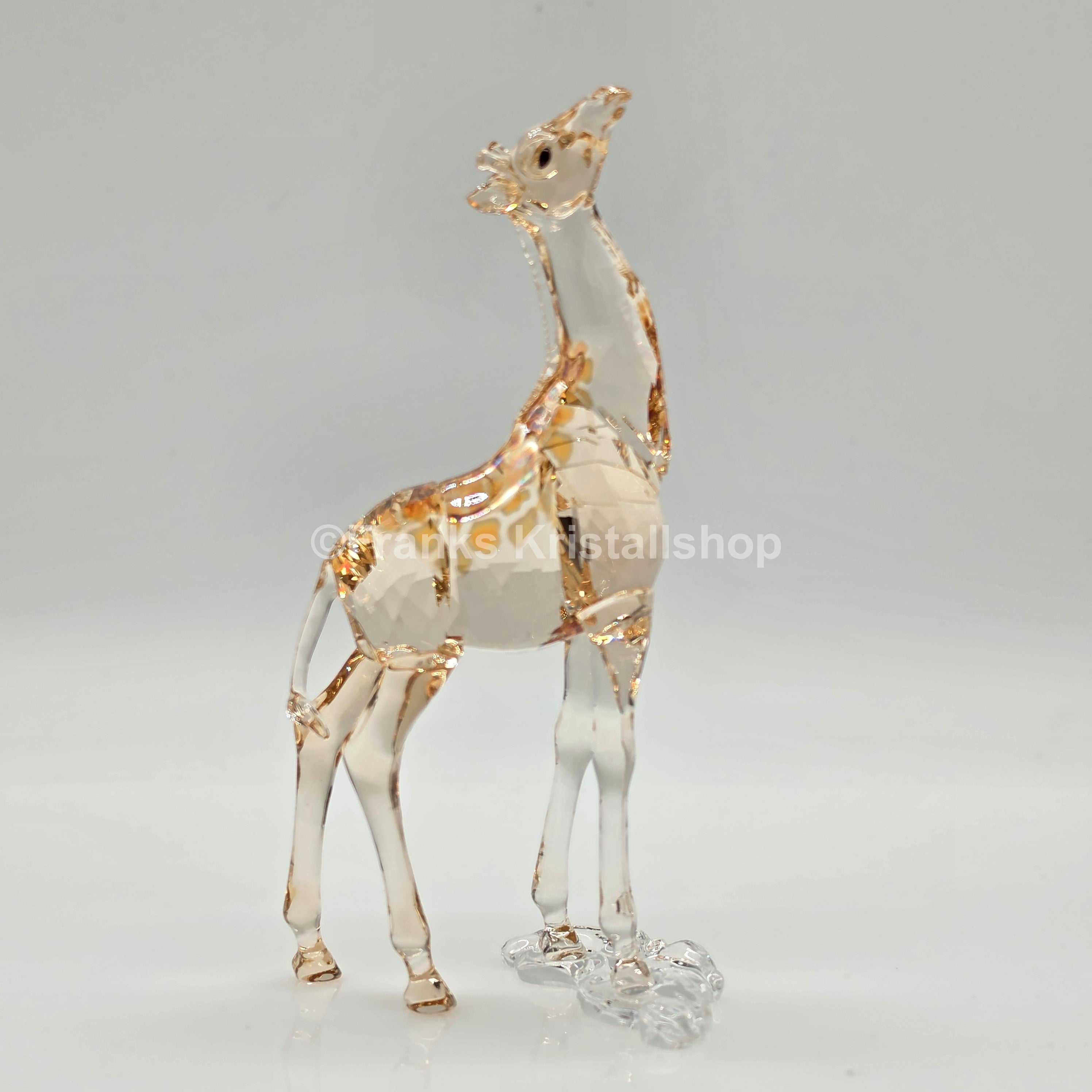 SWAROVSKI SCS Jahresfigur 2018 Mudiwa Giraffenbaby 5302151