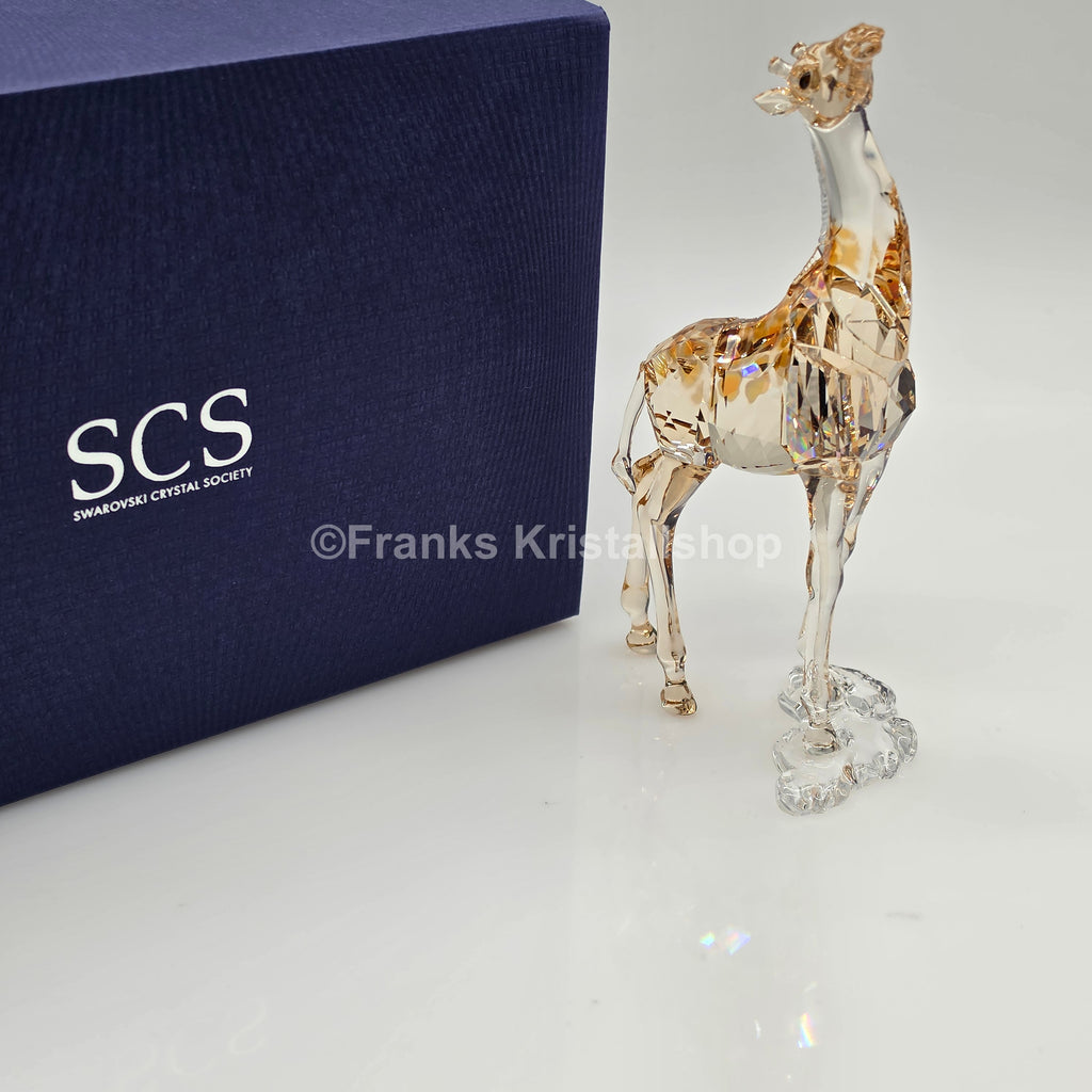 SWAROVSKI SCS Jahresfigur 2018 Mudiwa Giraffenbaby 5302151