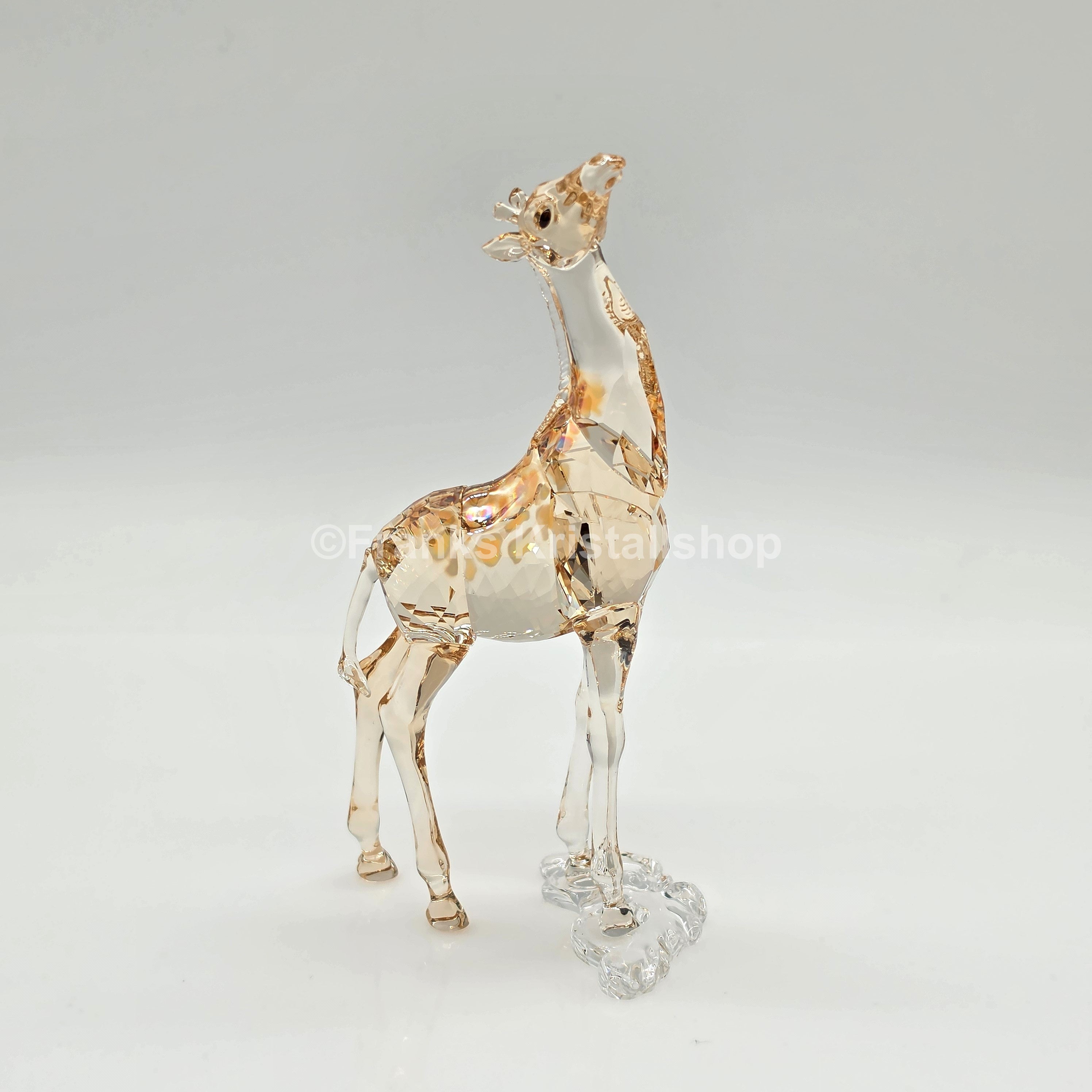 SWAROVSKI SCS Jahresfigur 2018 Mudiwa Giraffenbaby 5302151
