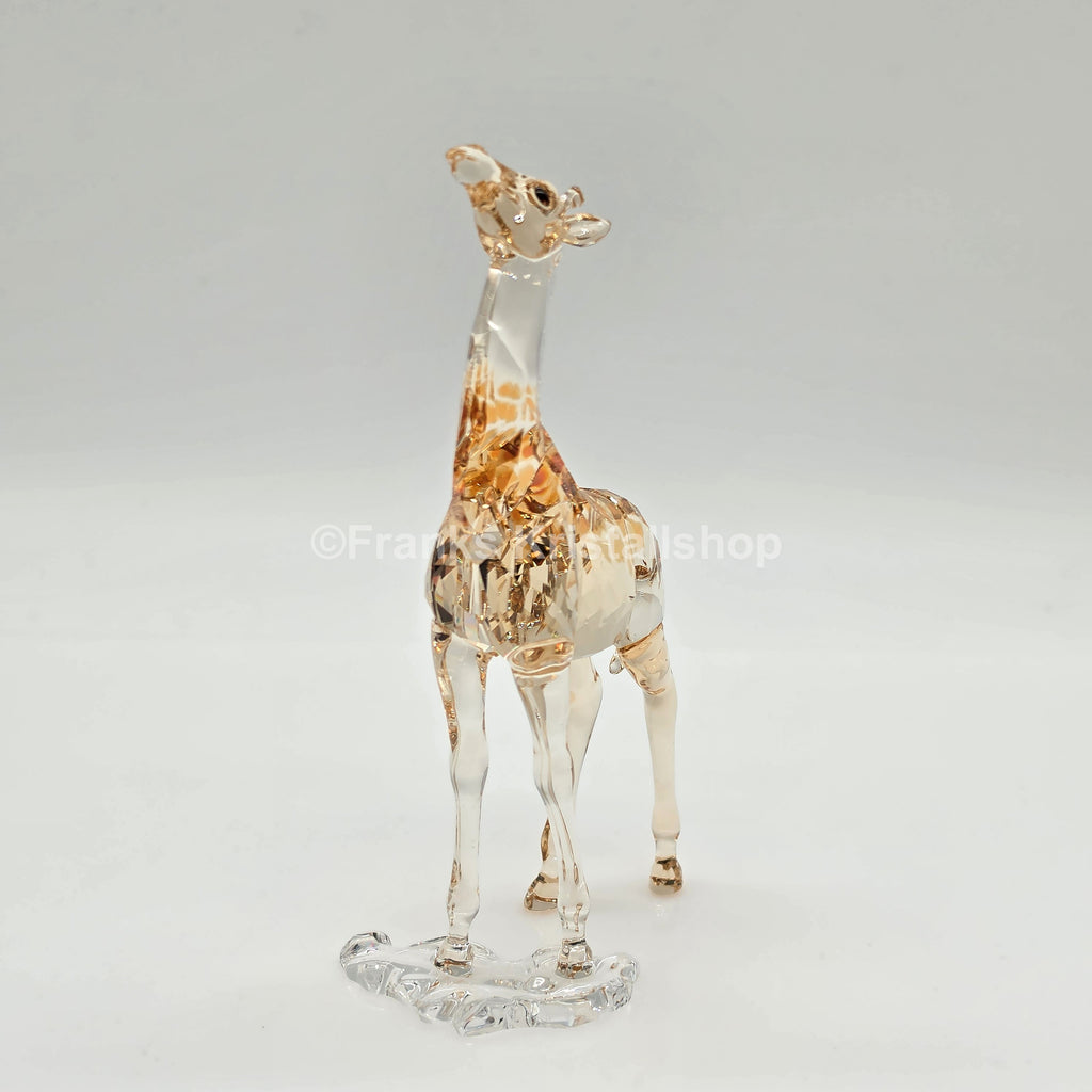 SWAROVSKI SCS Jahresfigur 2018 Mudiwa Giraffenbaby 5302151