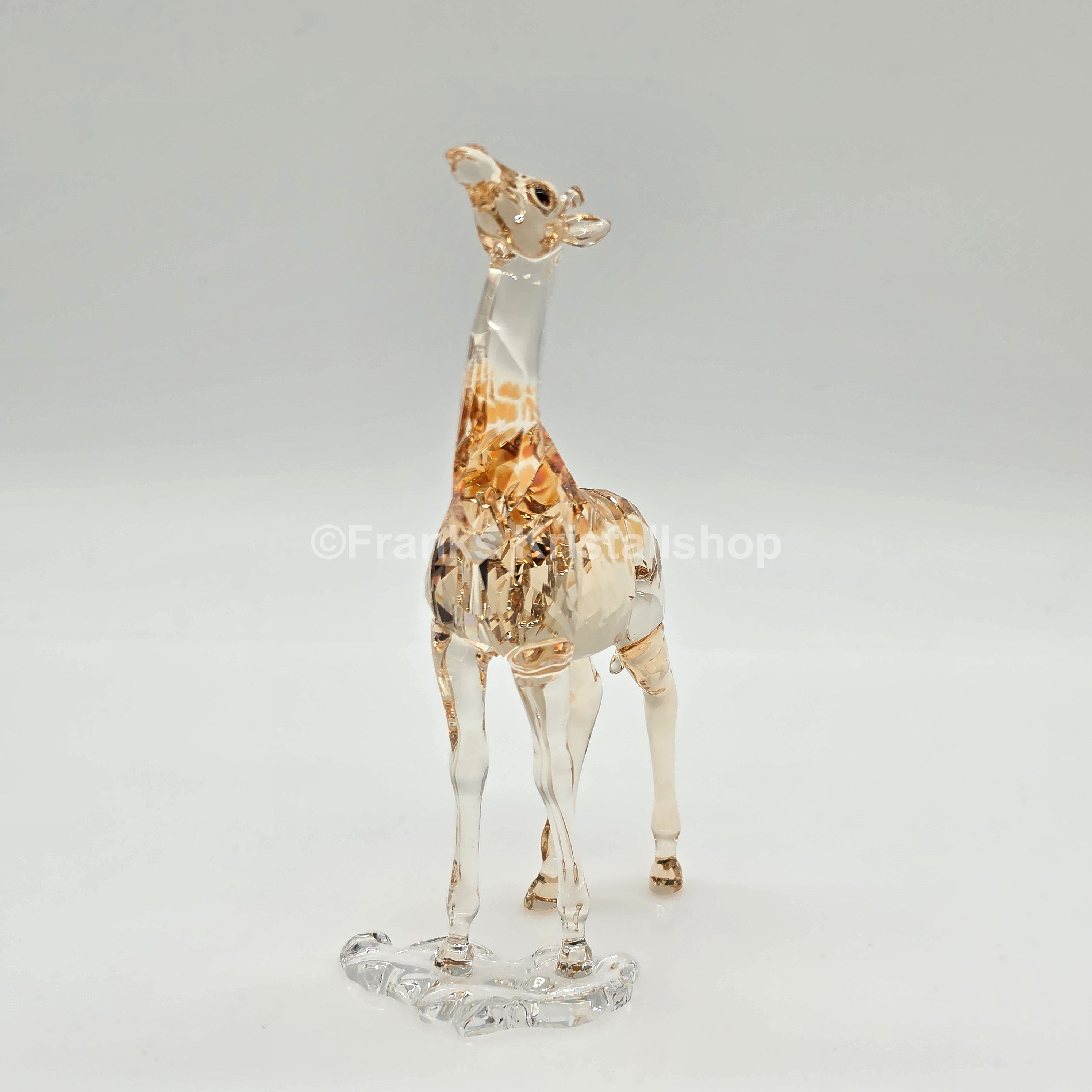SWAROVSKI SCS Jahresfigur 2018 Mudiwa Giraffenbaby 5302151