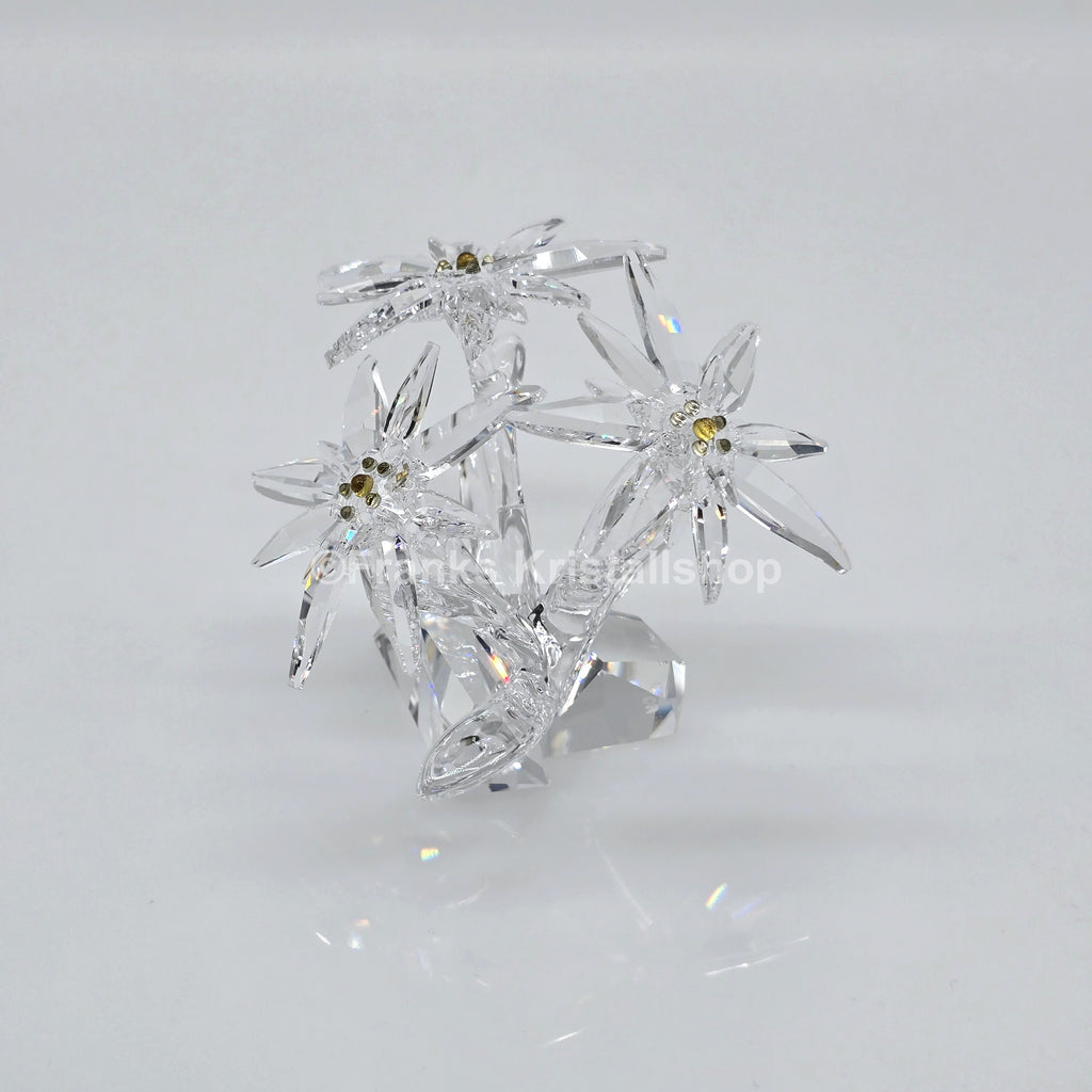 SWAROVSKI SCS Jahresfigur 2021 Edelweiß Edelweiss 5493708