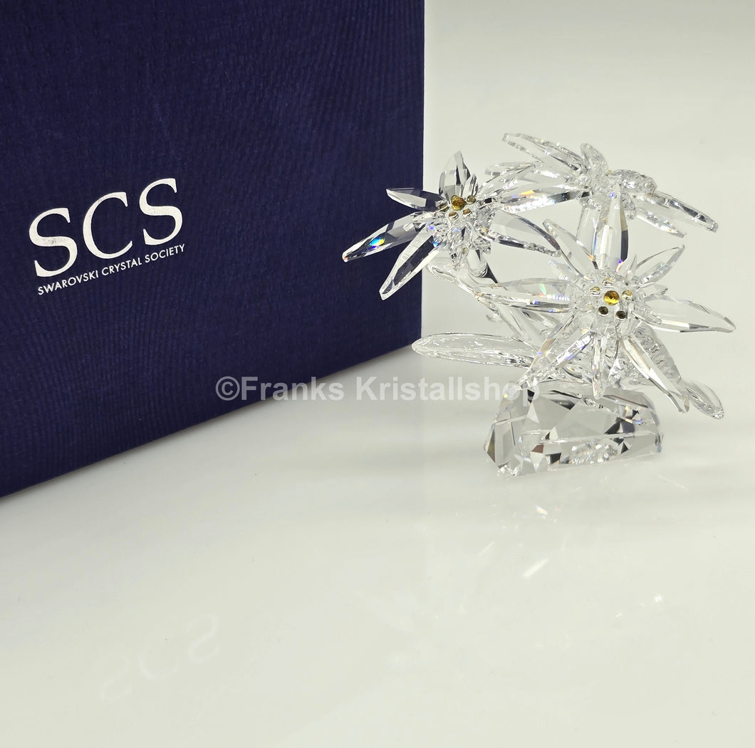 SWAROVSKI SCS Jahresfigur 2021 Edelweiß Edelweiss 5493708