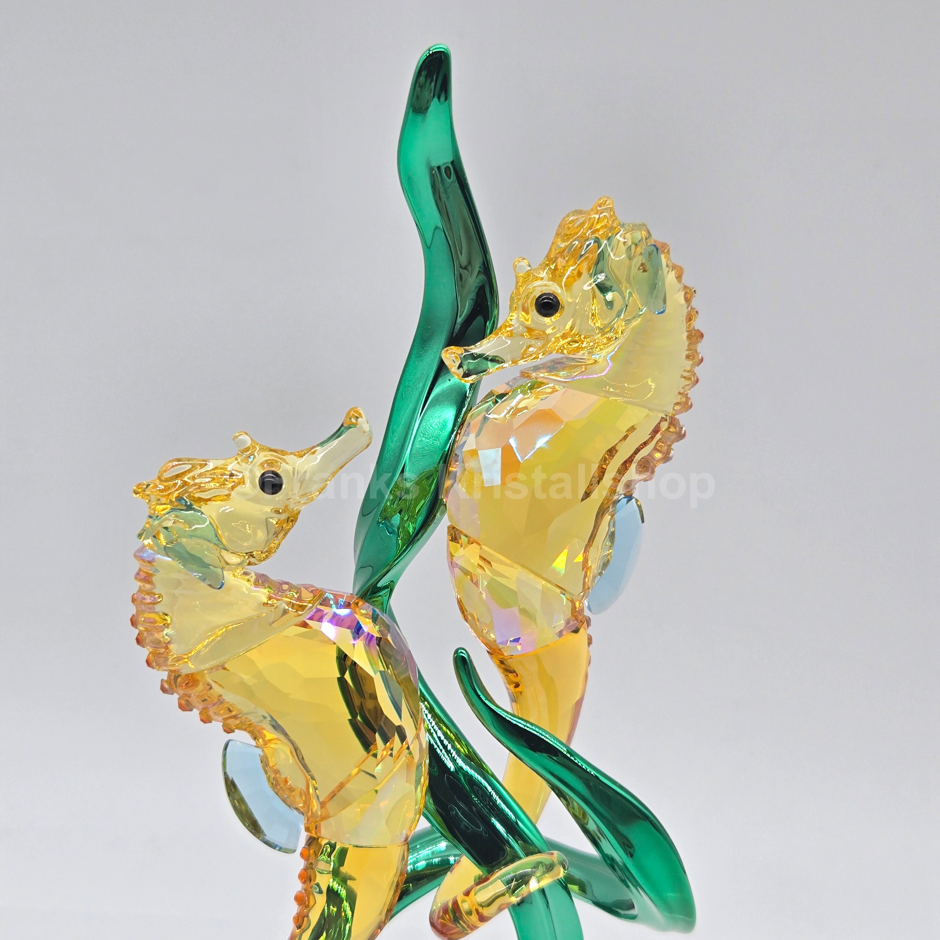 SWAROVSKI SCS Jahresfigur 2025 Idyllia Seepferdchen 5691274