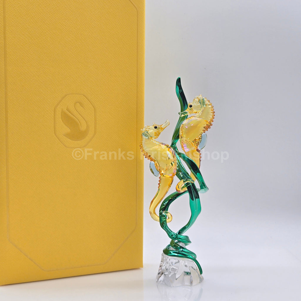 SWAROVSKI SCS Jahresfigur 2025 Idyllia Seepferdchen 5691274