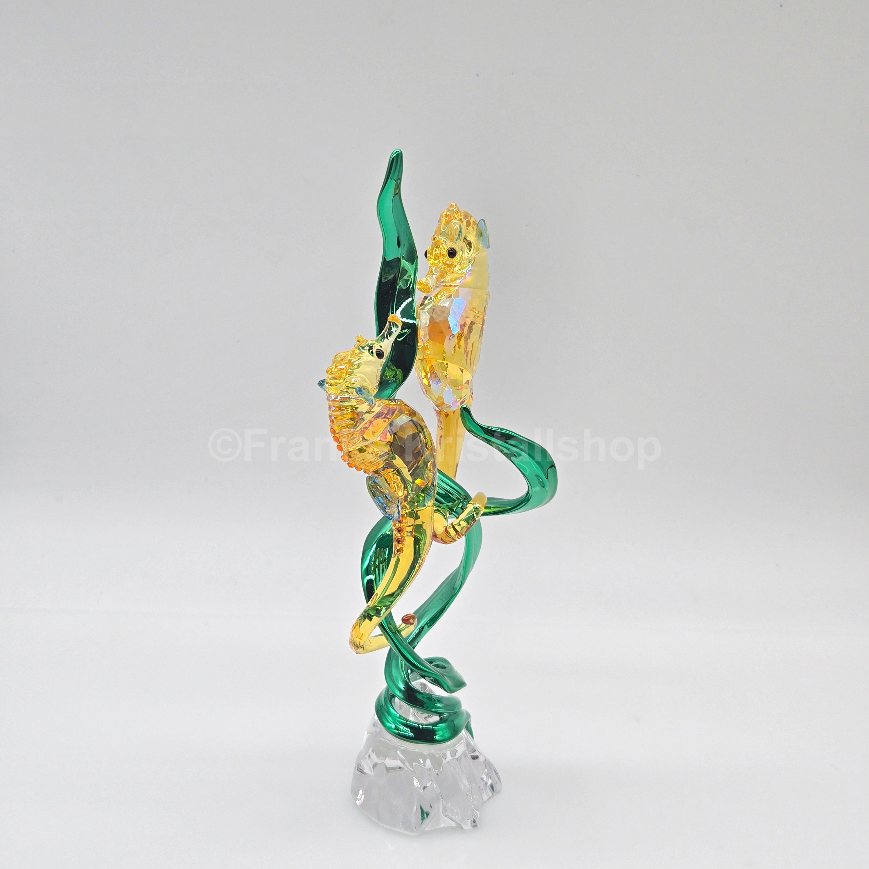 SWAROVSKI SCS Jahresfigur 2025 Idyllia Seepferdchen 5691274