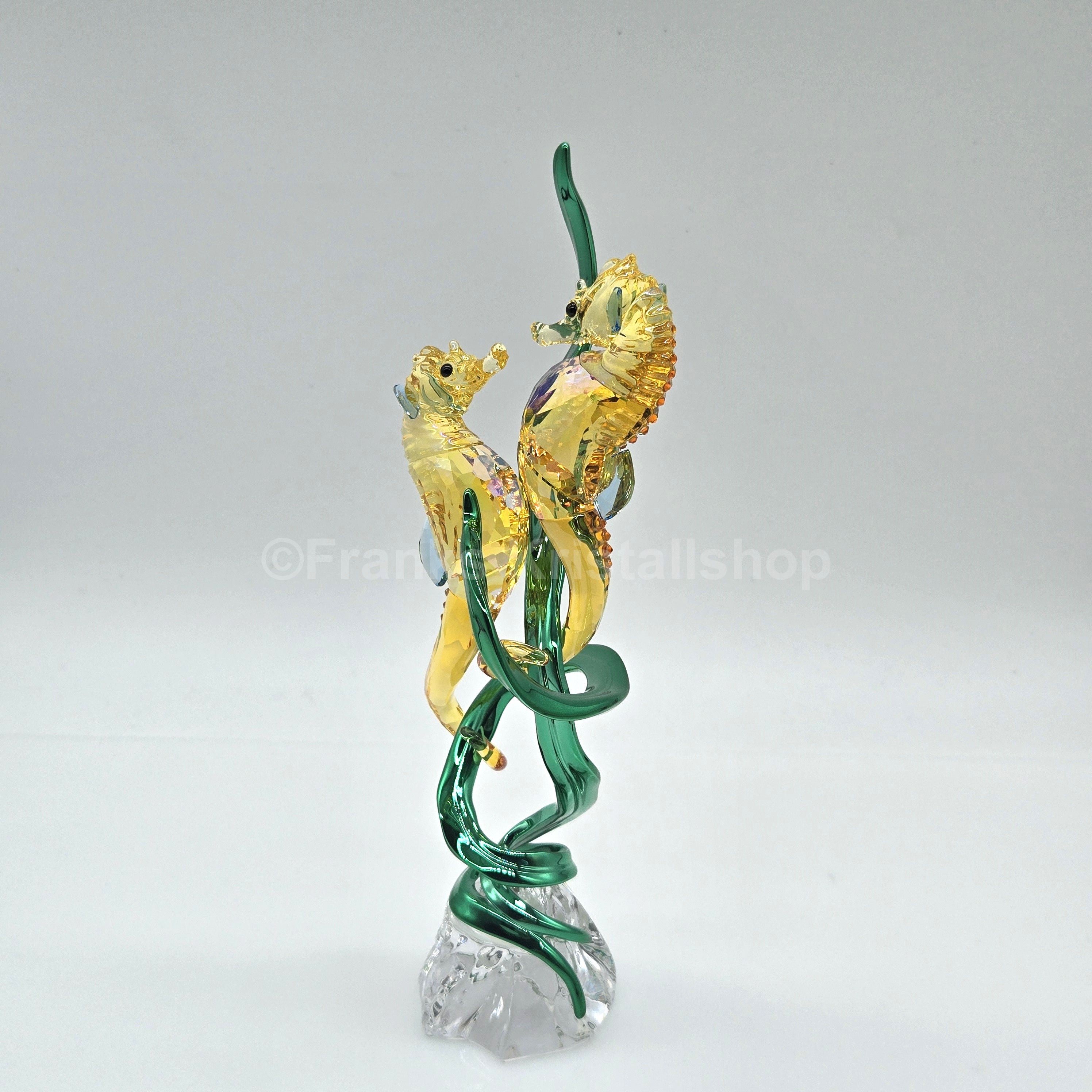 SWAROVSKI SCS Jahresfigur 2025 Idyllia Seepferdchen 5691274