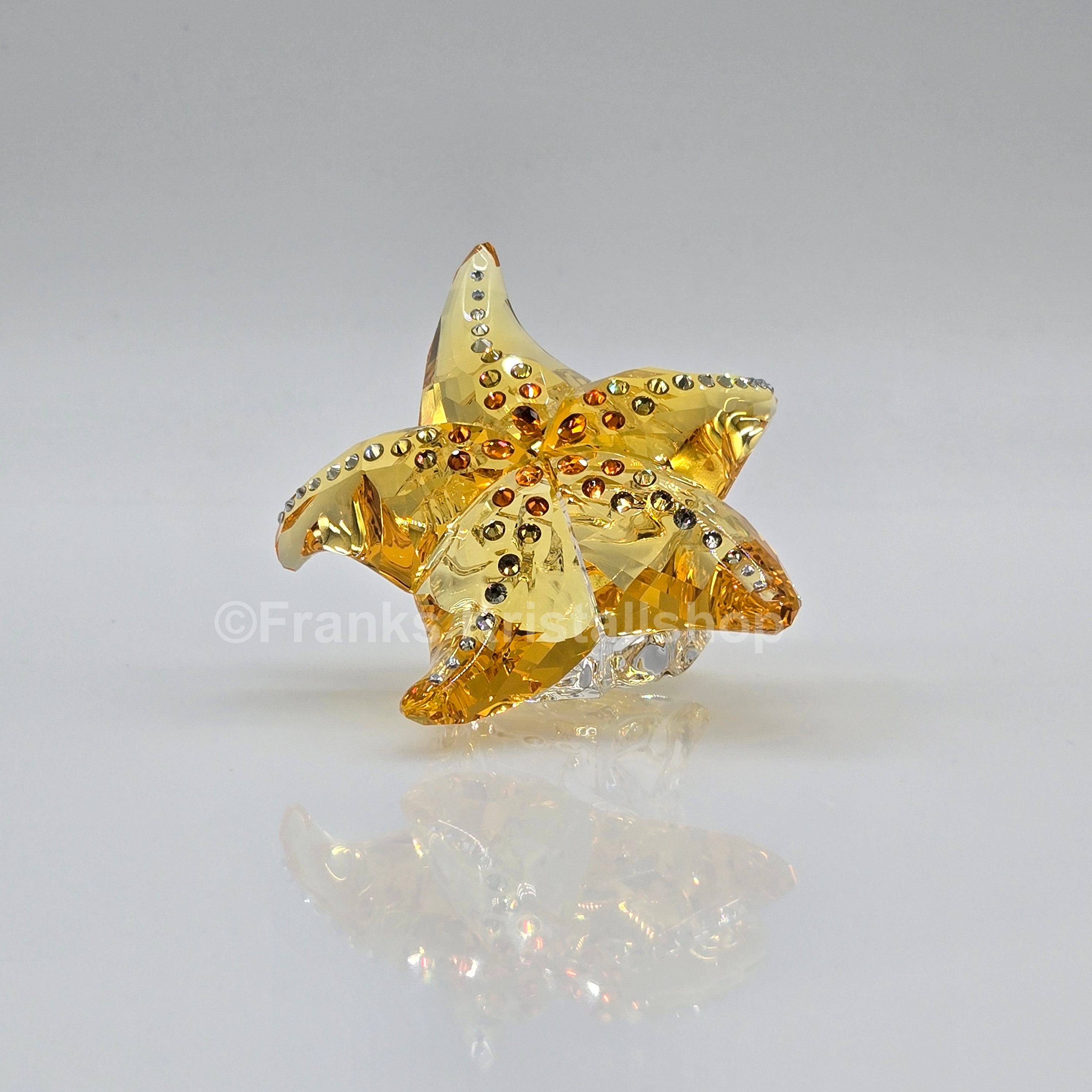 SWAROVSKI SCS Jahresfigur 2025 Idyllia Seestern 5690901