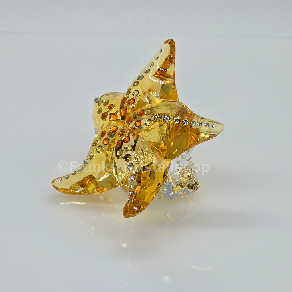 SWAROVSKI SCS Jahresfigur 2025 Idyllia Seestern 5690901