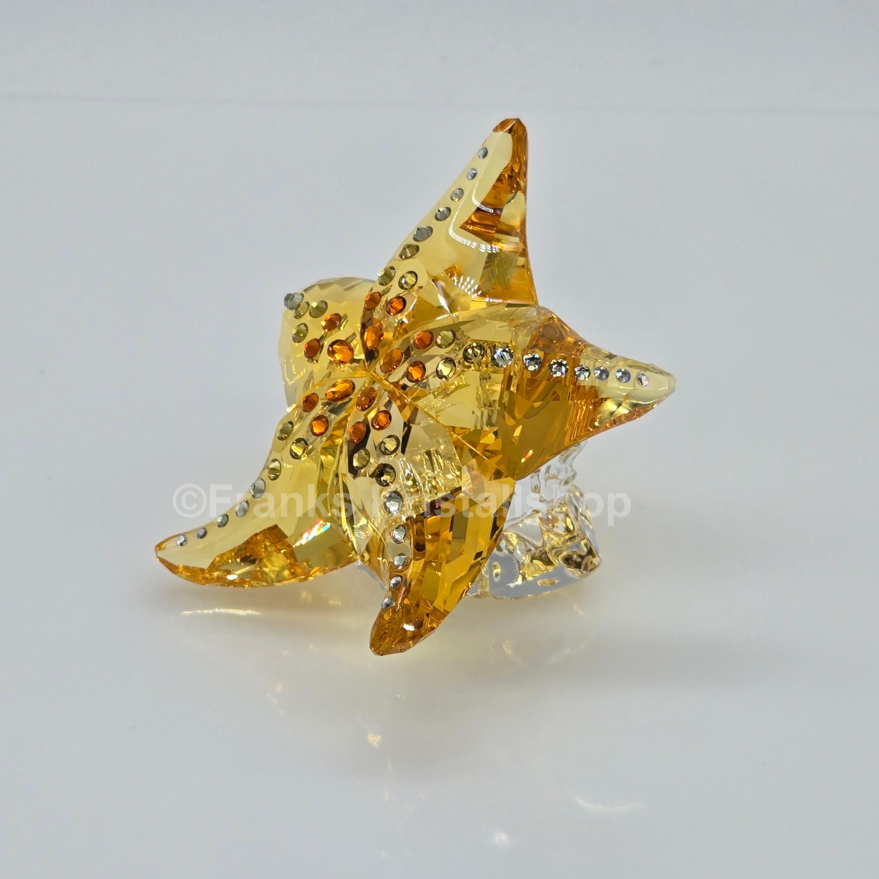 SWAROVSKI SCS Jahresfigur 2025 Idyllia Seestern 5690901