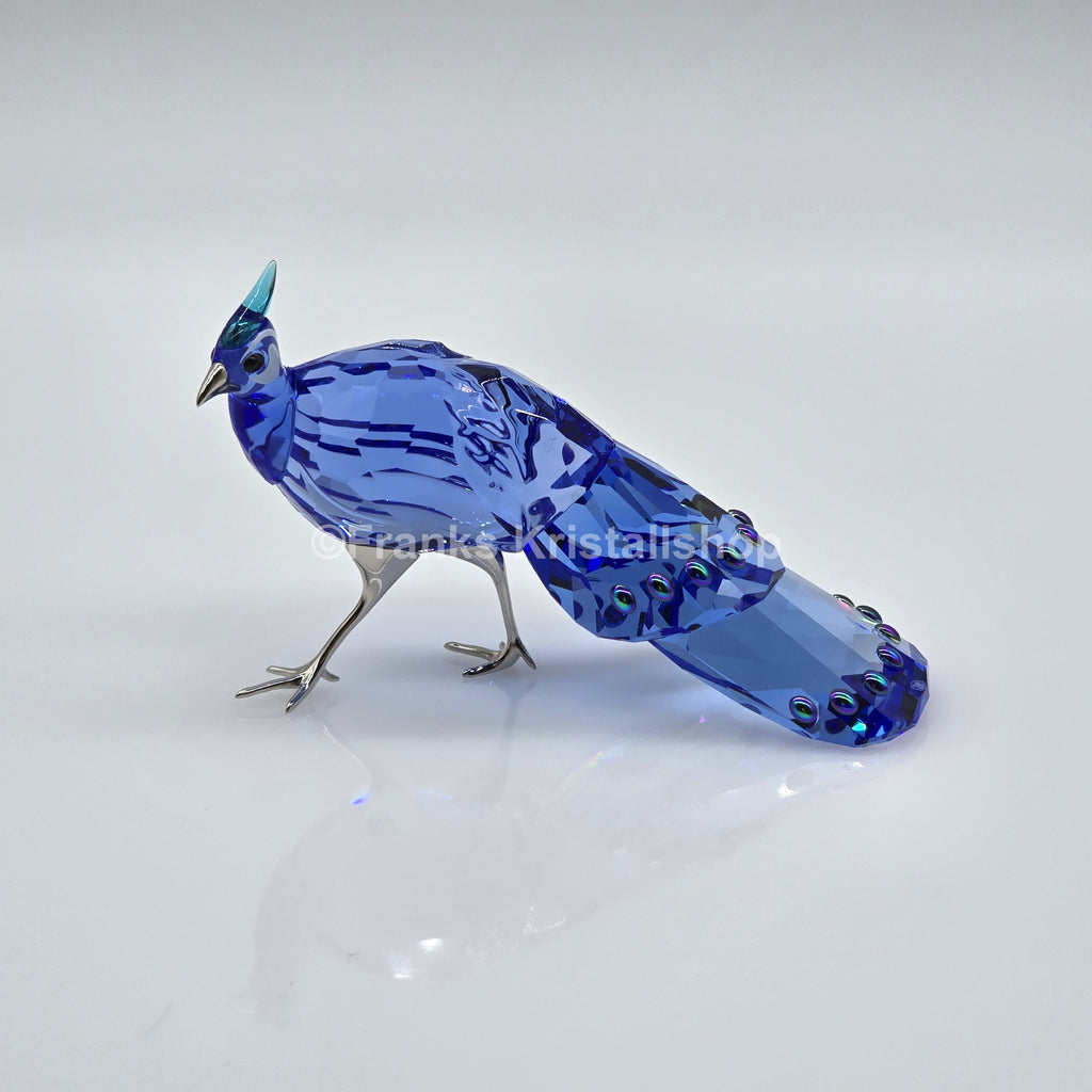 SWAROVSKI SCS Jahresfigur 2026 Idyllia Palawan-Pfaufasan 5717851