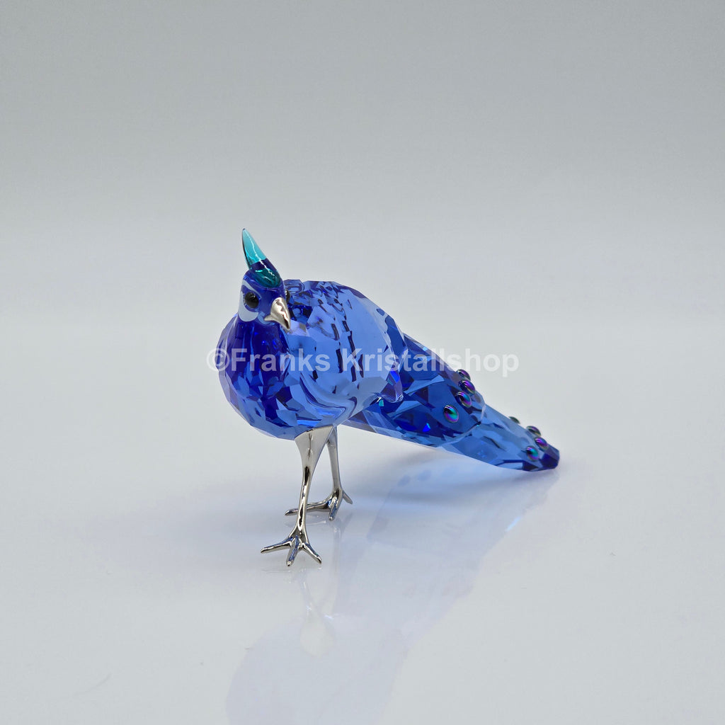 SWAROVSKI SCS Jahresfigur 2026 Idyllia Palawan-Pfaufasan SIGNIERT 5719128