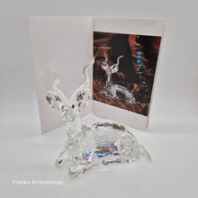 Lade das Bild in den Galerie-Viewer, SWAROVSKI SCS Jahresfigur 1994 Der Kudu 175703 mF
