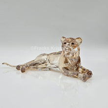Lade das Bild in den Galerie-Viewer, SWAROVSKI SCS Löwenmutter 5135895 oU
