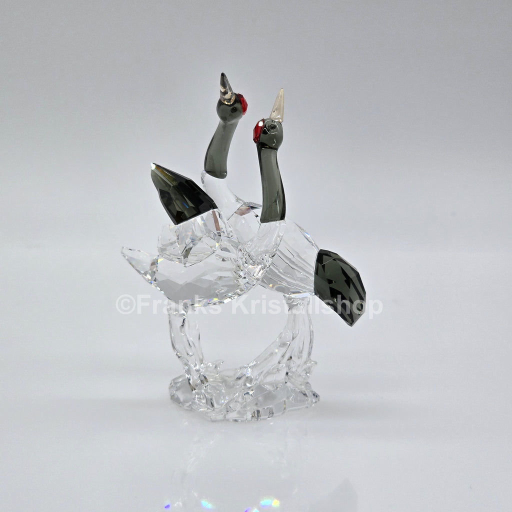 SWAROVSKI SCS Mandschurenkraniche 1142860 oU
