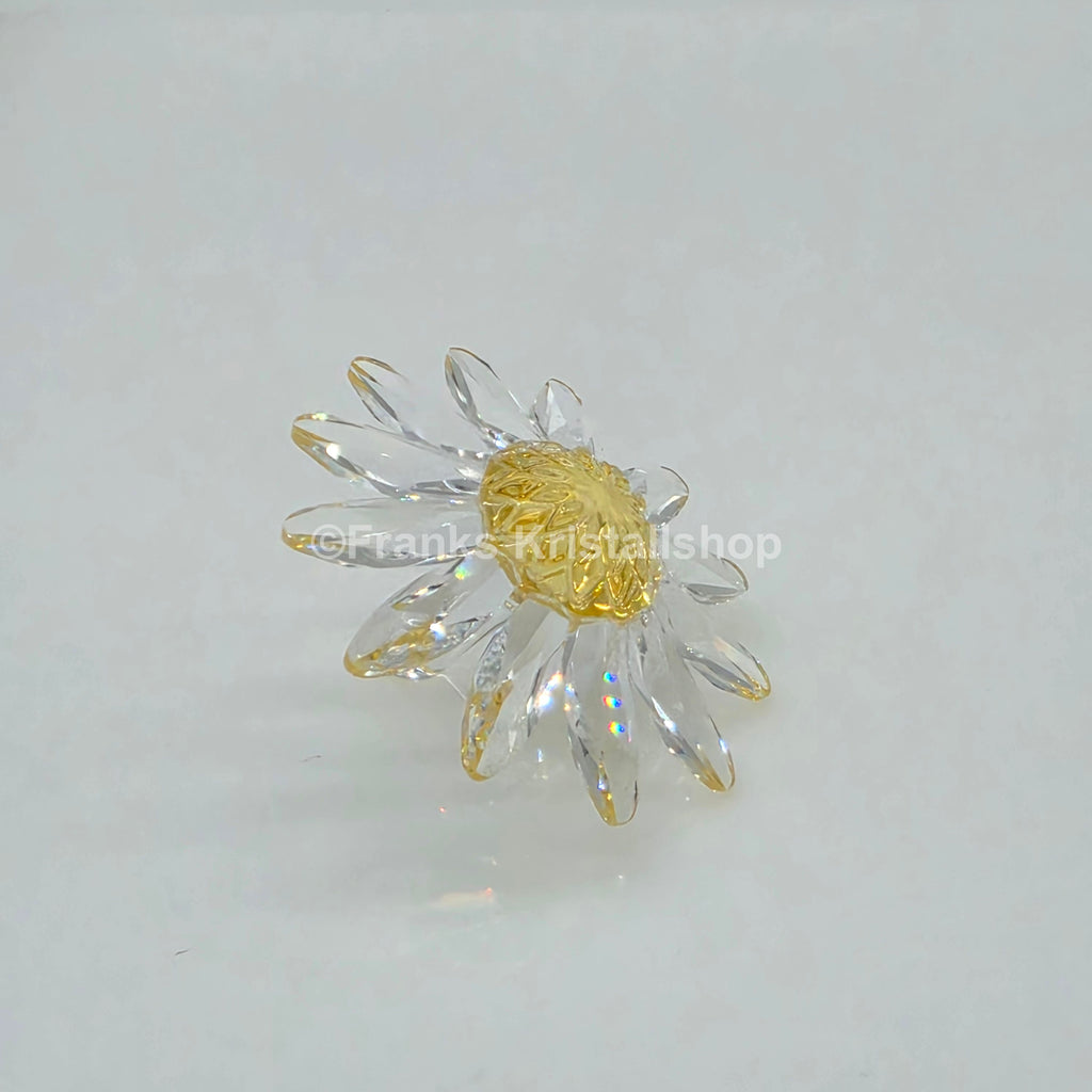 SWAROVSKI SCS Margerite Gelb 229778