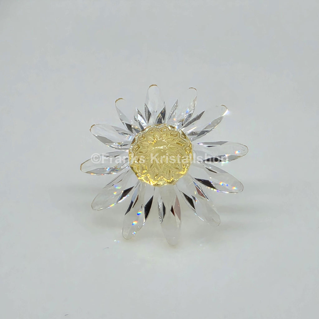 SWAROVSKI SCS Margerite Gelb 229778