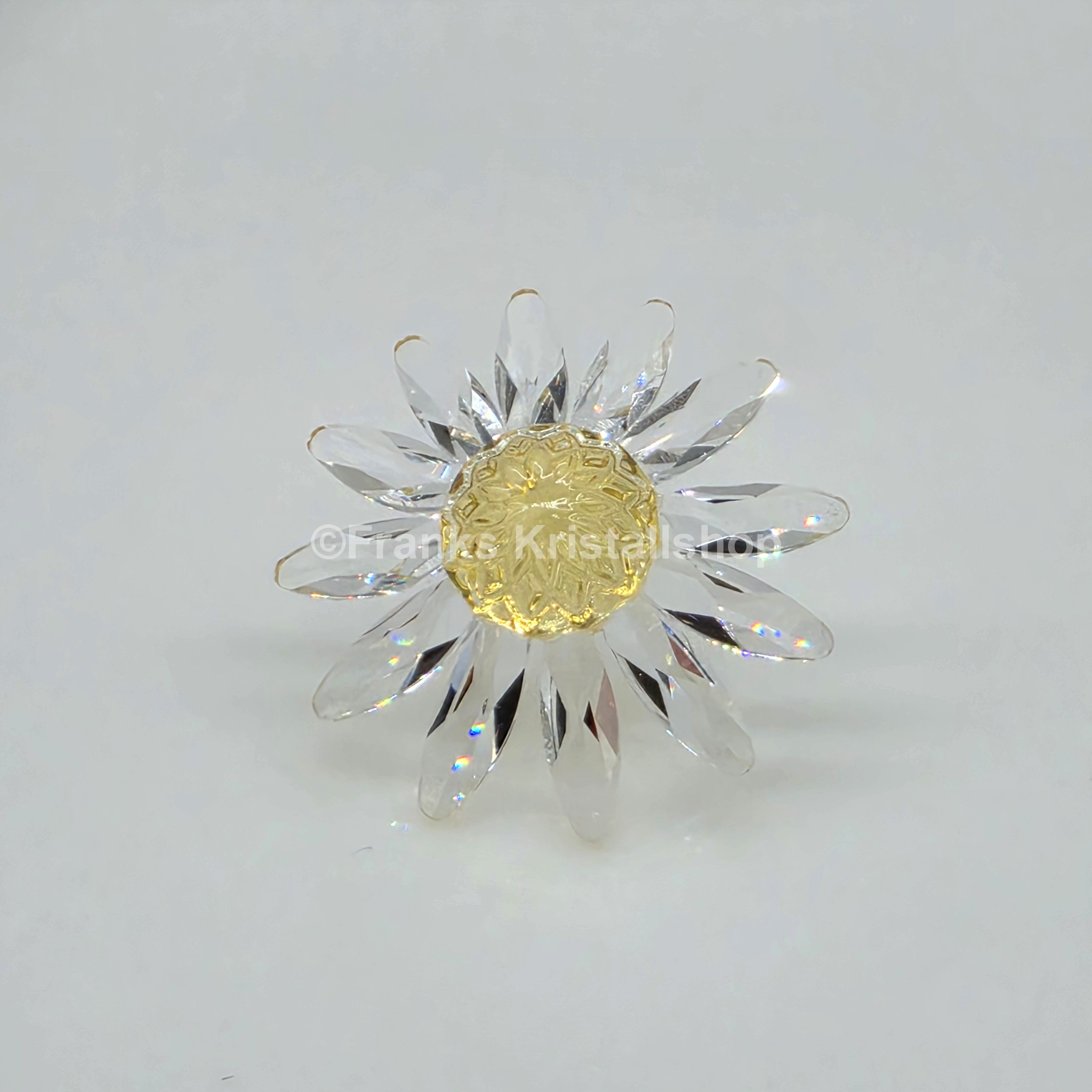SWAROVSKI SCS Margerite Gelb 229778