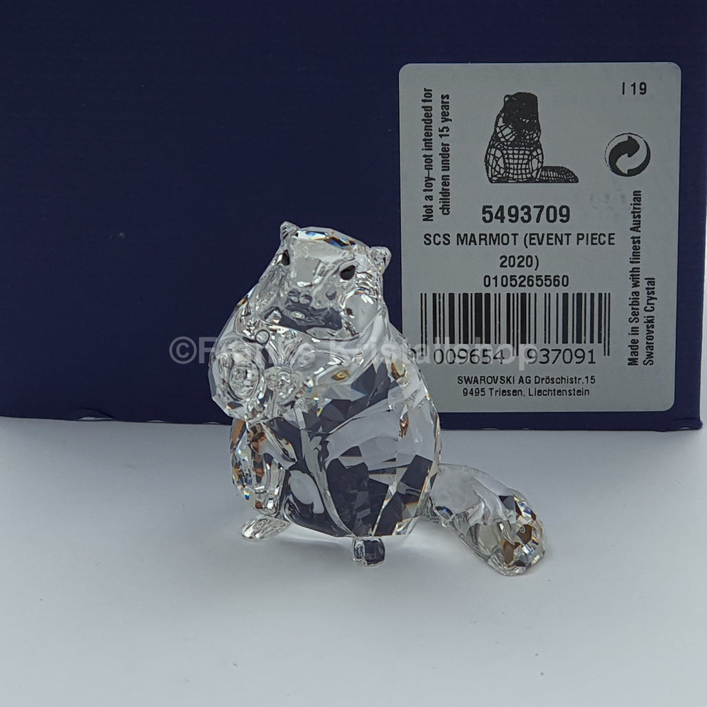 SWAROVSKI SCS Murmeltier Eventfigur 2020 5493709