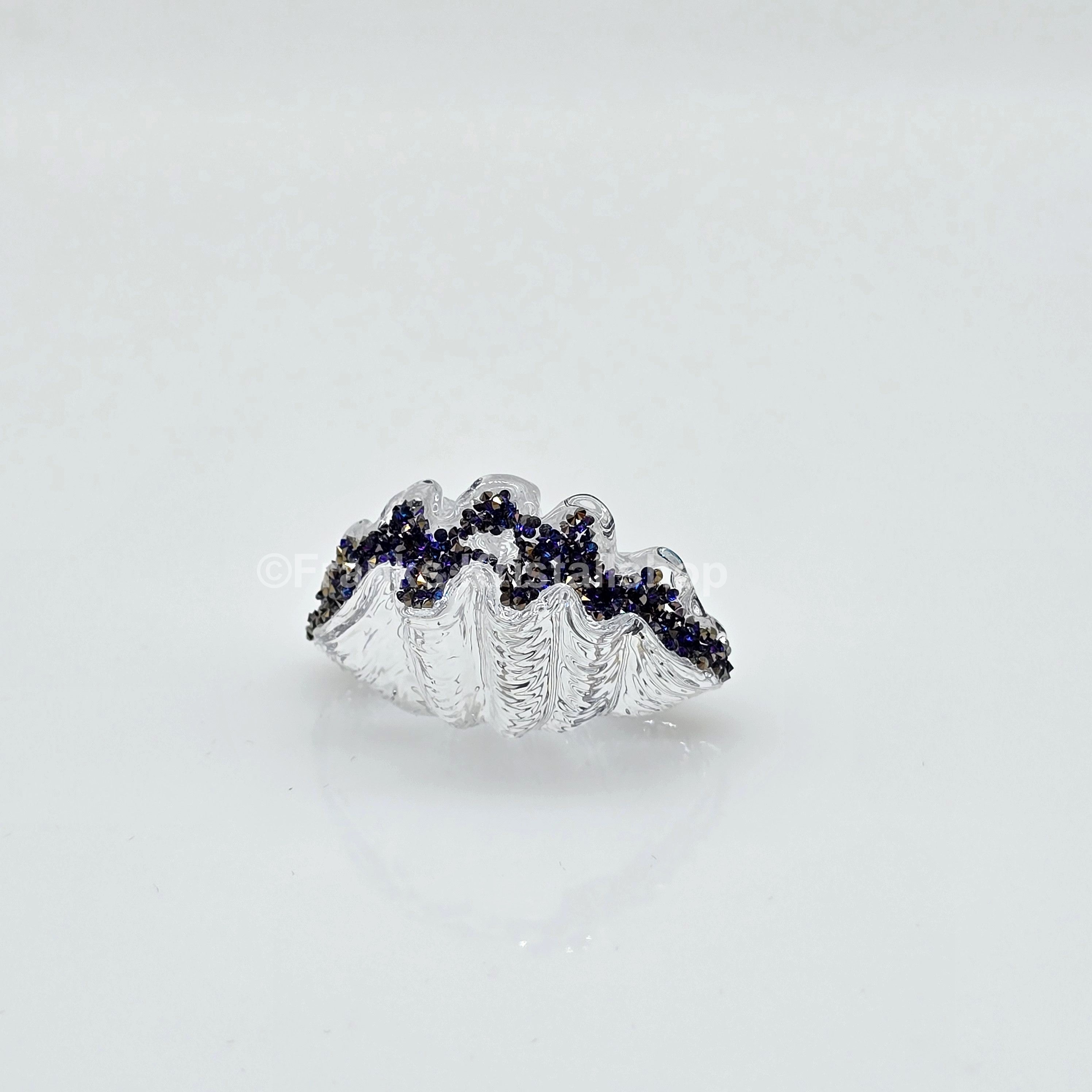 SWAROVSKI SCS Auster Muschel 2025 Sonderausgabe Loyality Gift 5701499