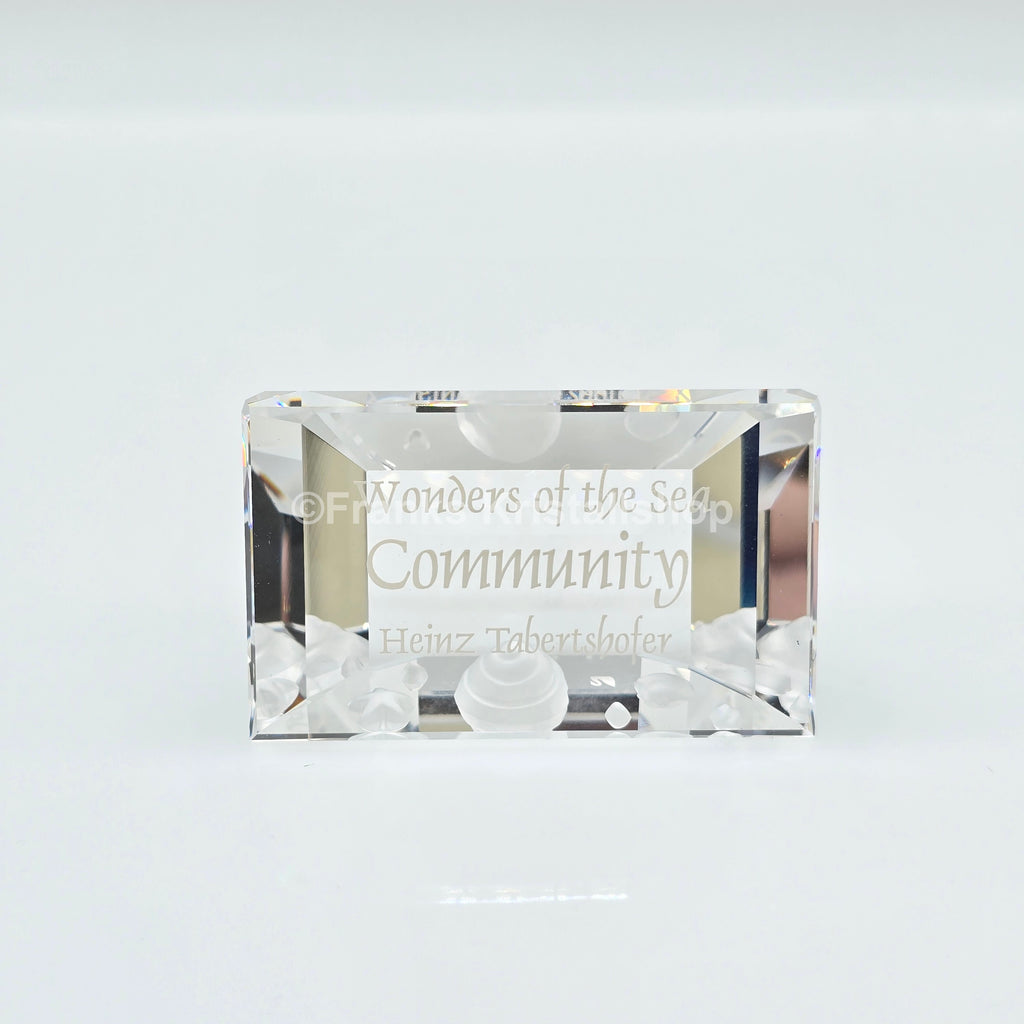 SWAROVSKI SCS Namensschild Community Wonders of the Sea 898130