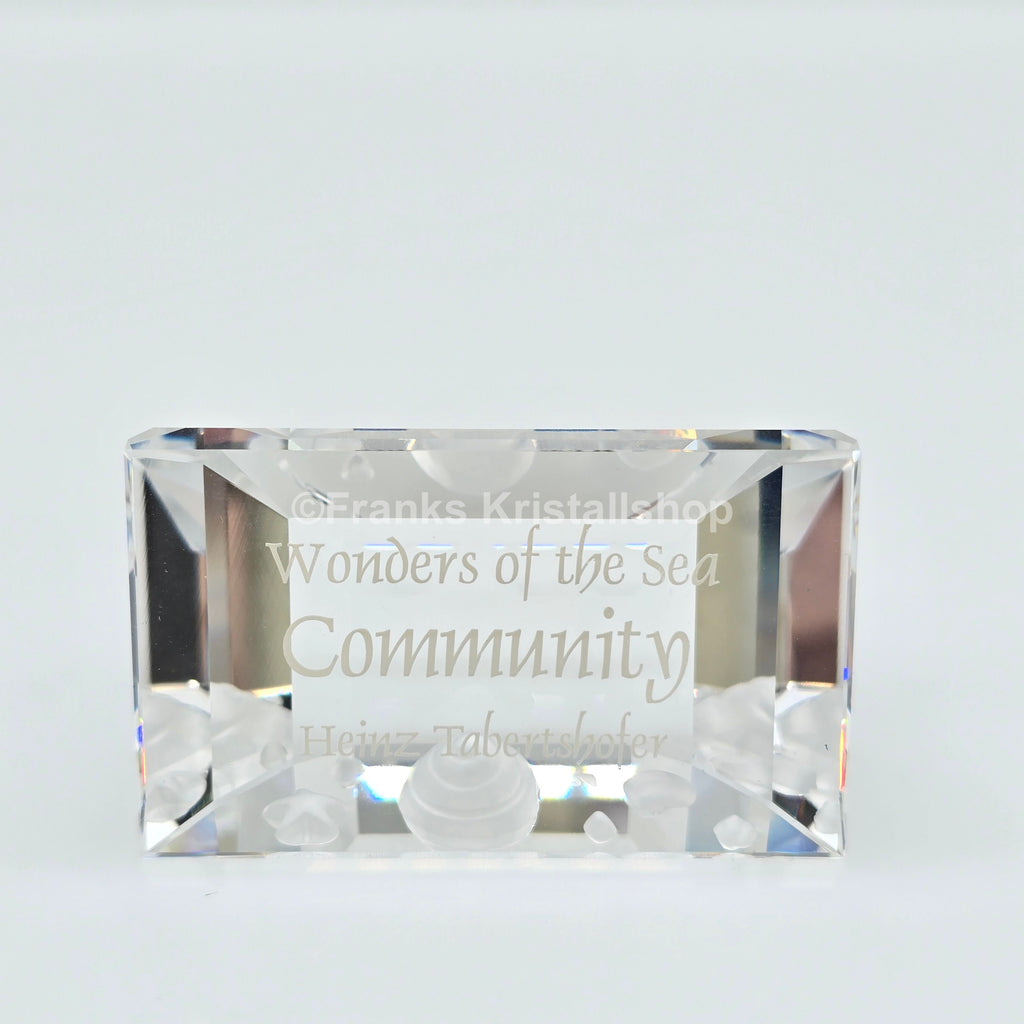 SWAROVSKI SCS Namensschild Community Wonders of the Sea 898130