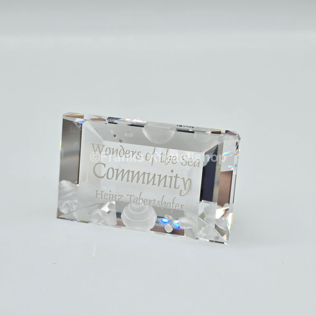 SWAROVSKI SCS Namensschild Community Wonders of the Sea 898130