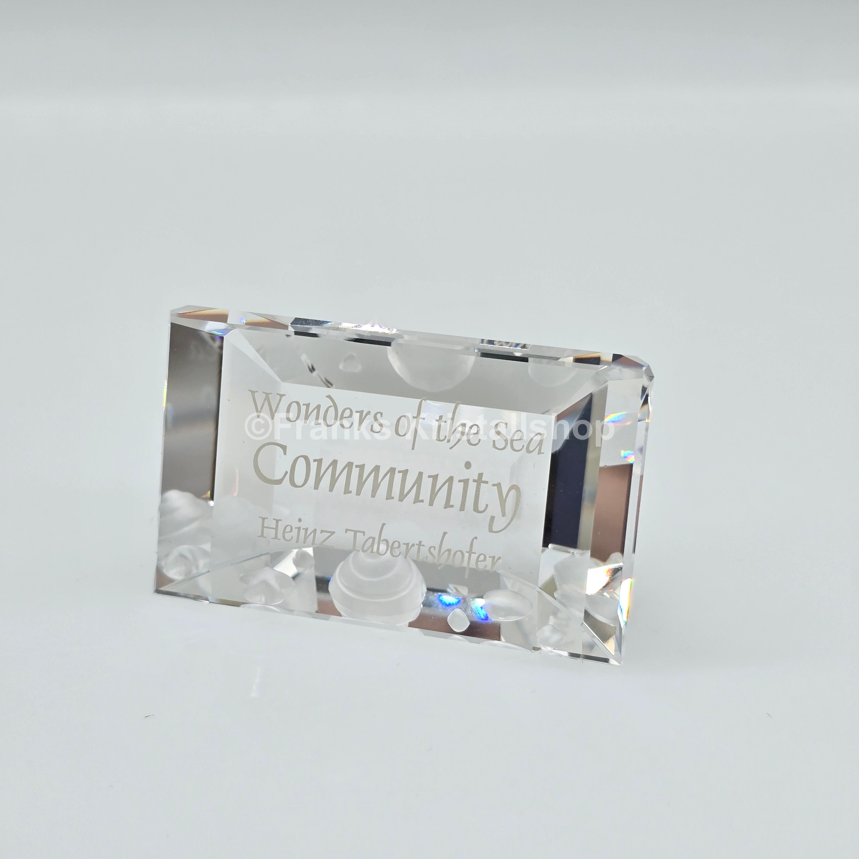 SWAROVSKI SCS Namensschild Community Wonders of the Sea 898130